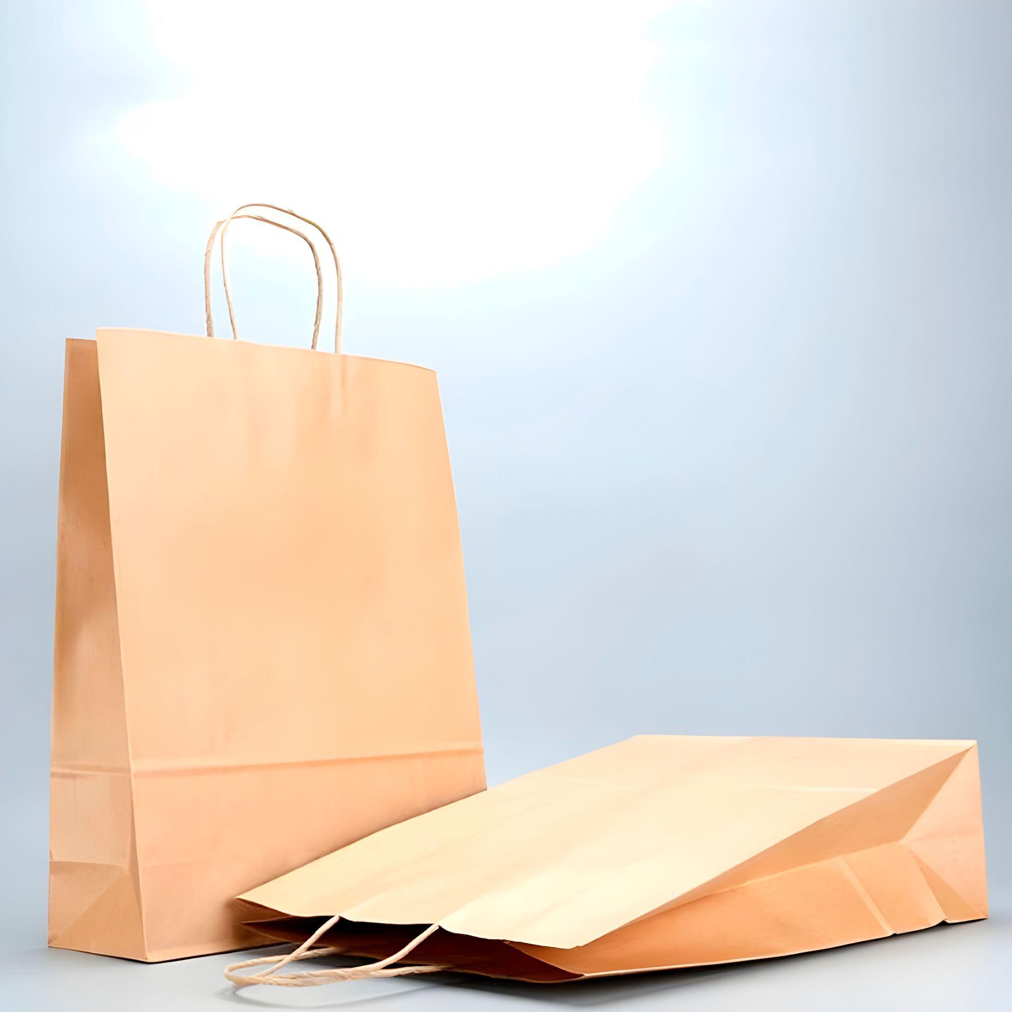 Bolsa Papel Kraft Ecologica Color Marron 21x11x27cm Pack X60-2