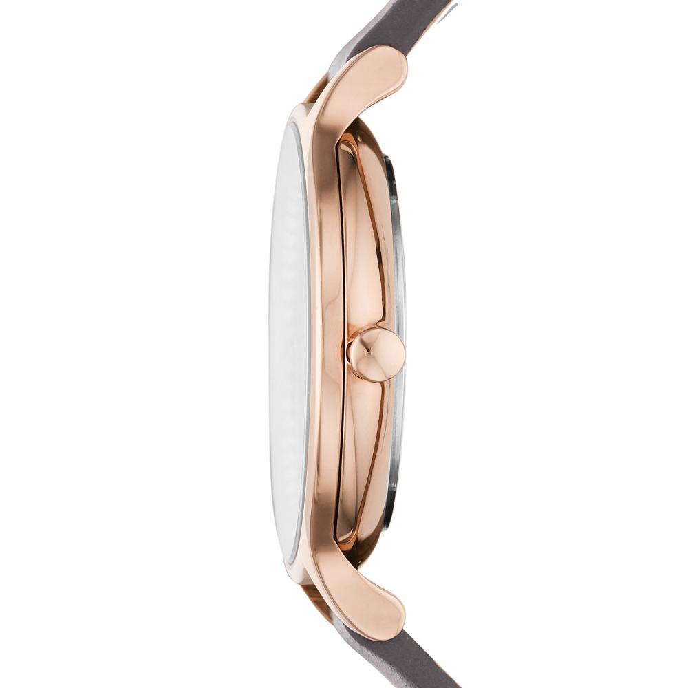 Reloj Skagen Mujer SKW2909-2