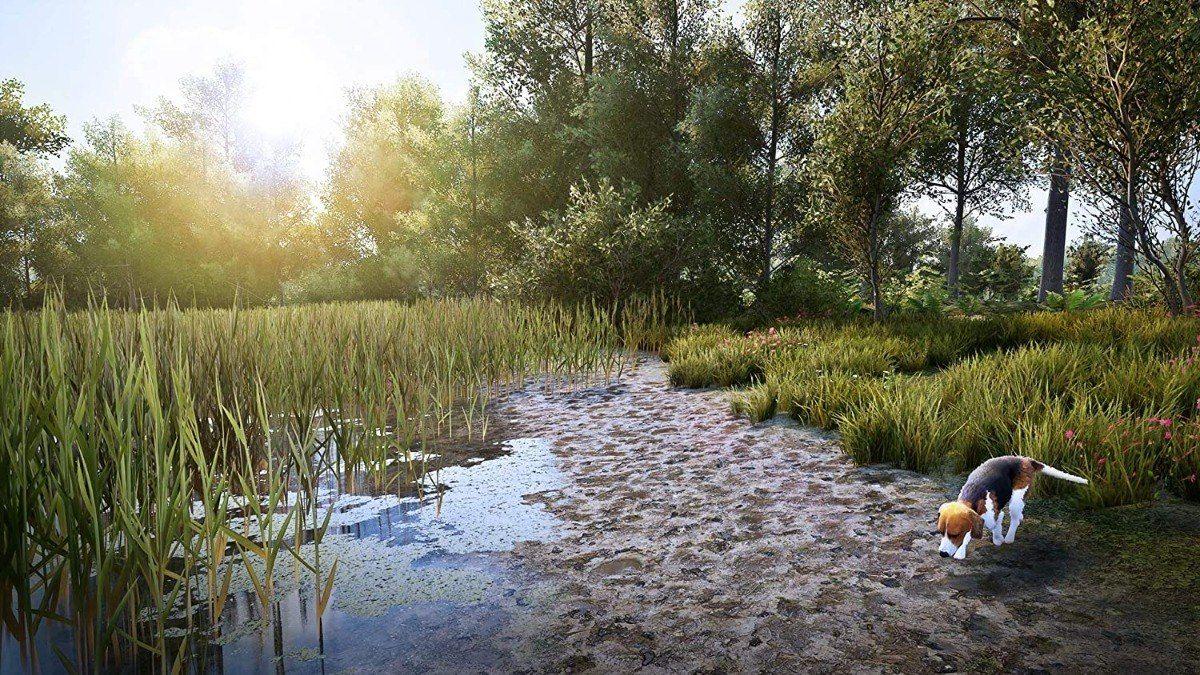 Hunting Simulator 2 - Playstation 4 - Snipercl-9