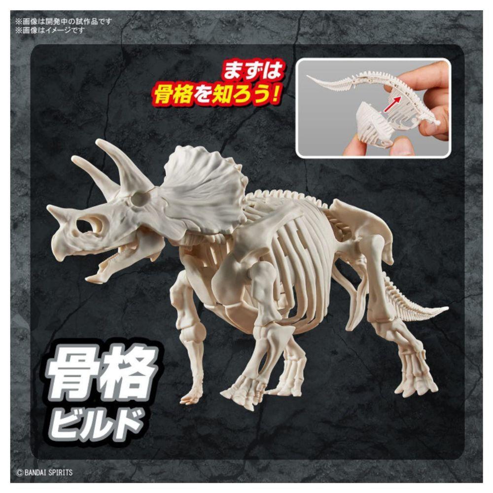 MODEL KIT PLANNOSAURUS TRICERATOPS BANDAI HOBBY-4