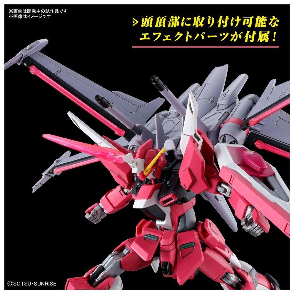 HG 1/144 INFINITE JUSTICE GUNDAM TYPEⅱ BANDAI HOBBY-3