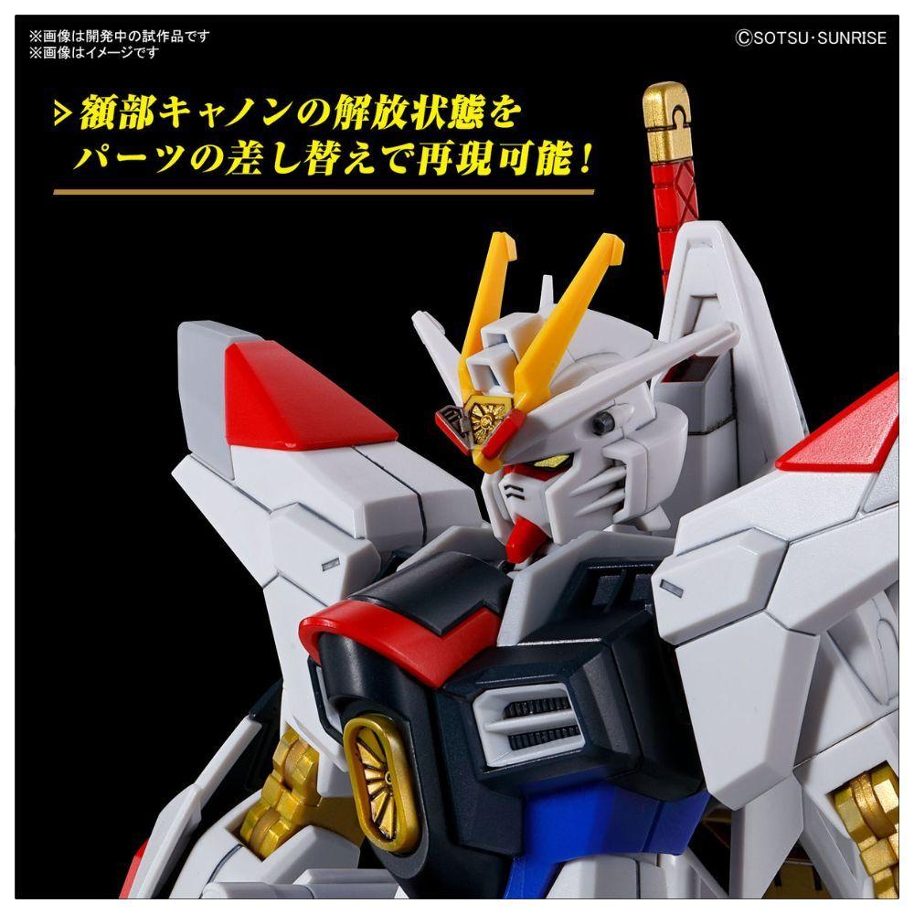 MODEL KIT HG 1/144 MIGHTY STRIKE FREEDOM GUNDAM BANDAI HOBBY-6