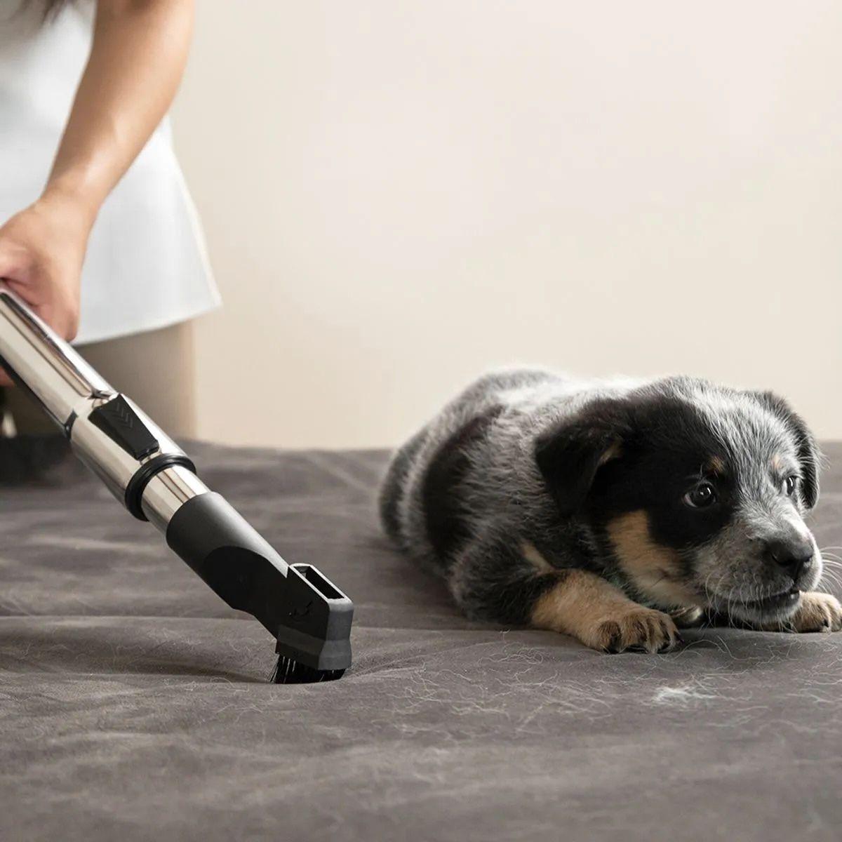 Aspiradora Sin Bolsa Karcher VCL 3 Cyclonic-2