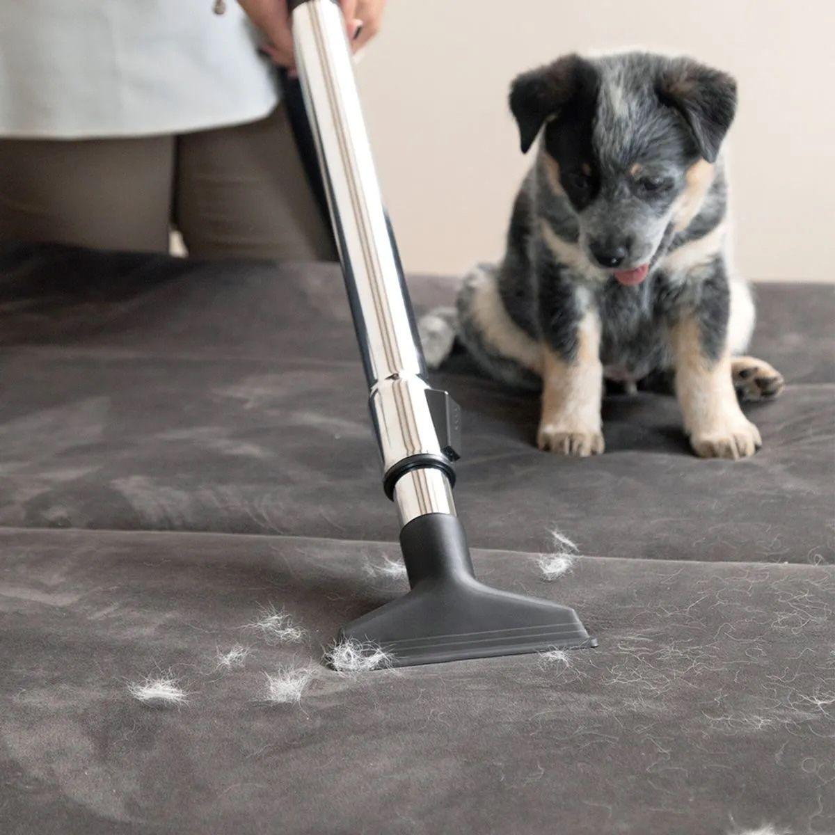 Aspiradora Sin Bolsa Karcher VCL 3 Cyclonic-6