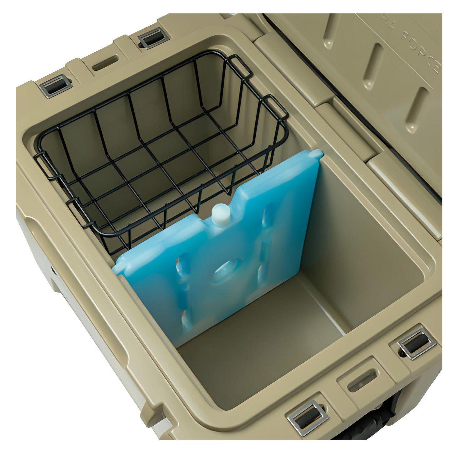 Cooler Box 31,1 L Arena-6