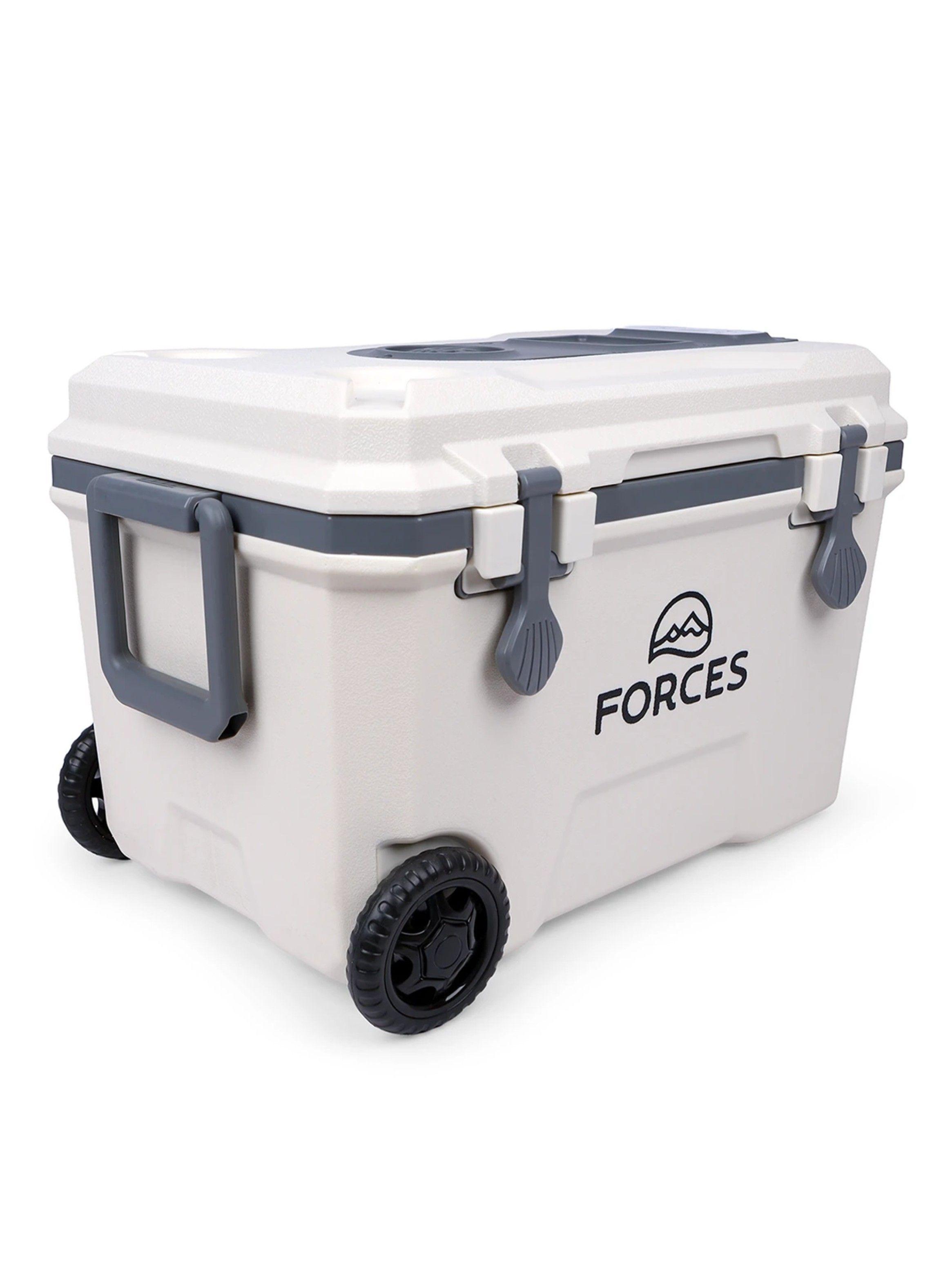 Cooler Térmico Eléctrico 36L-4