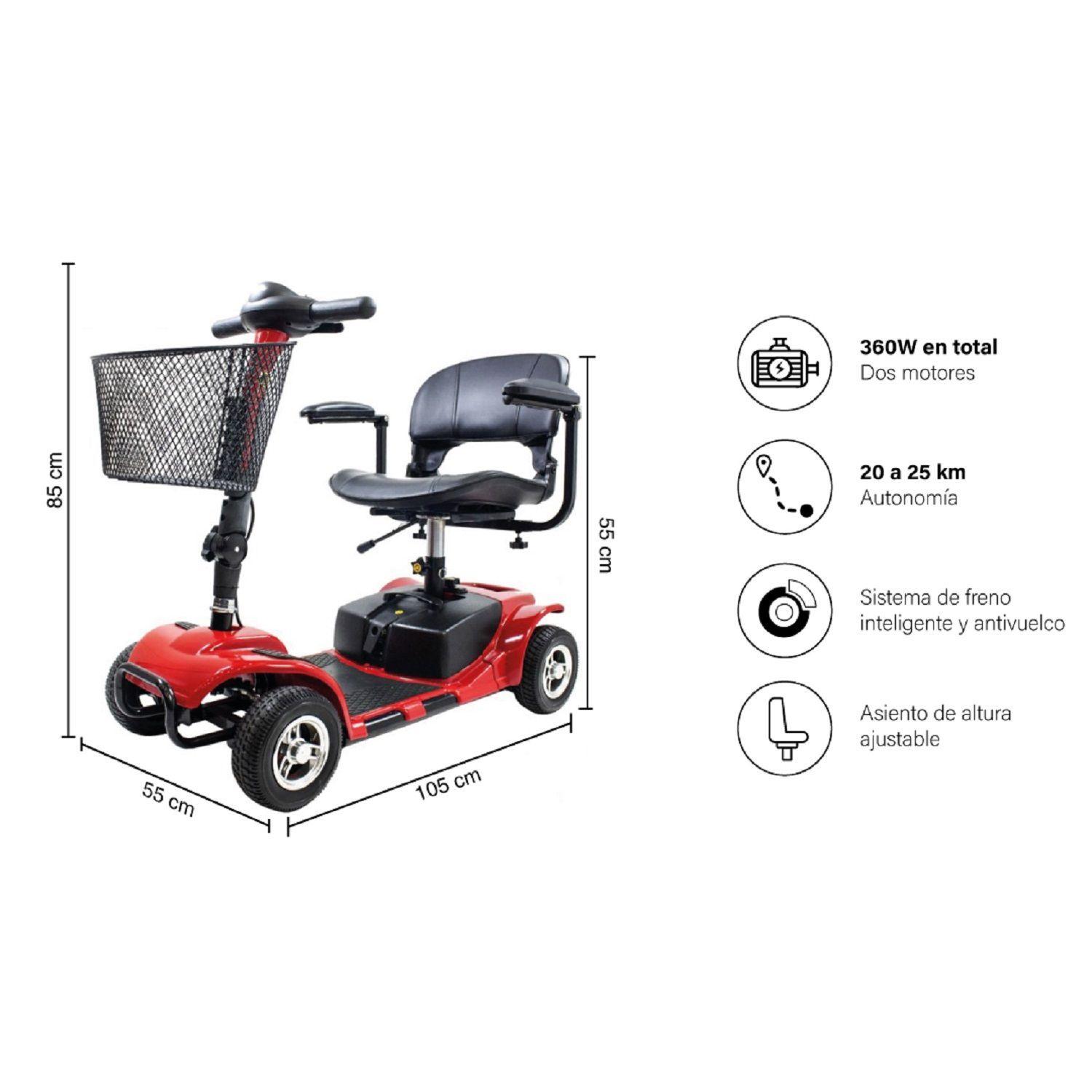 Scooter Eléctrico Pro S1-1