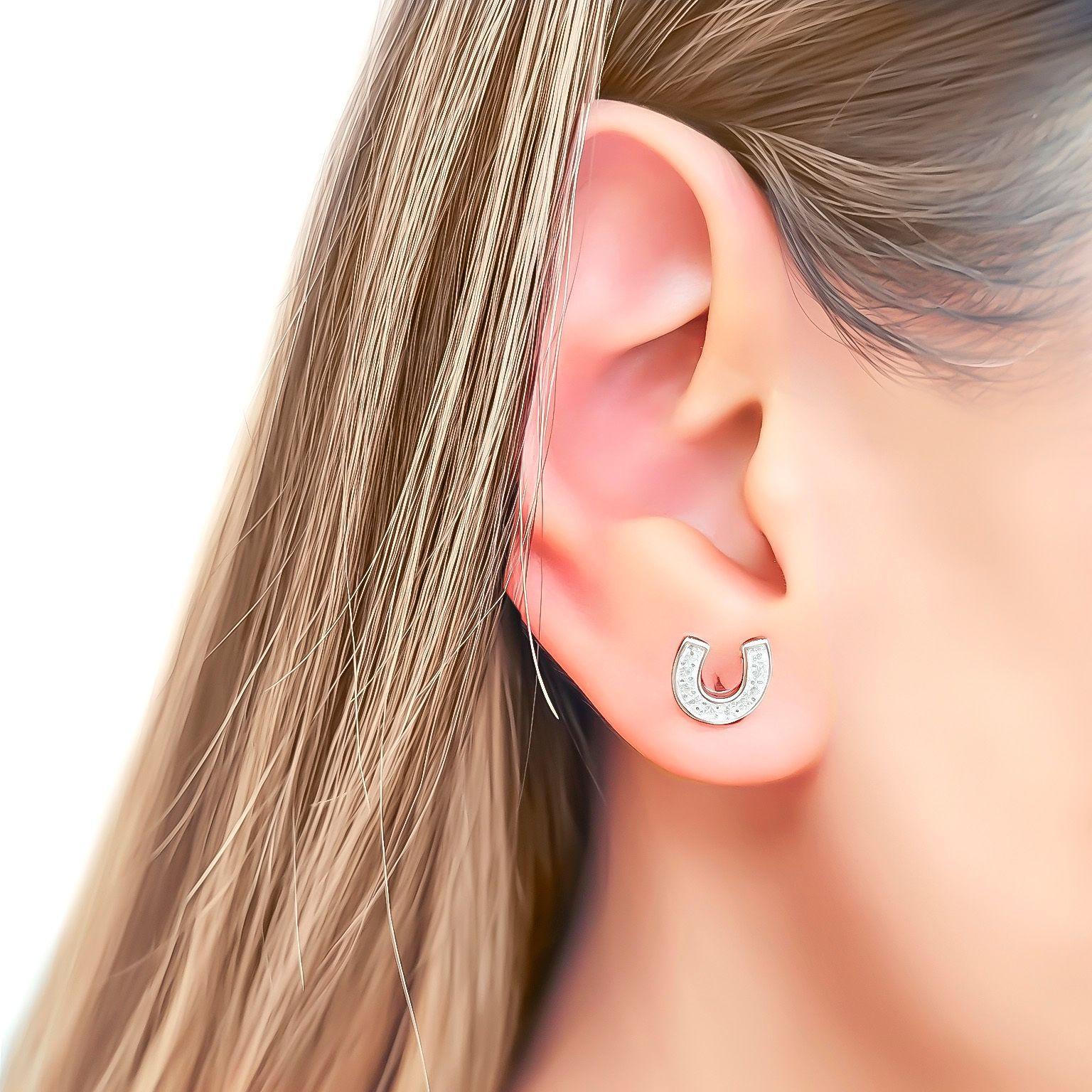 Aros Herradura Circón Plata Fina 925-2