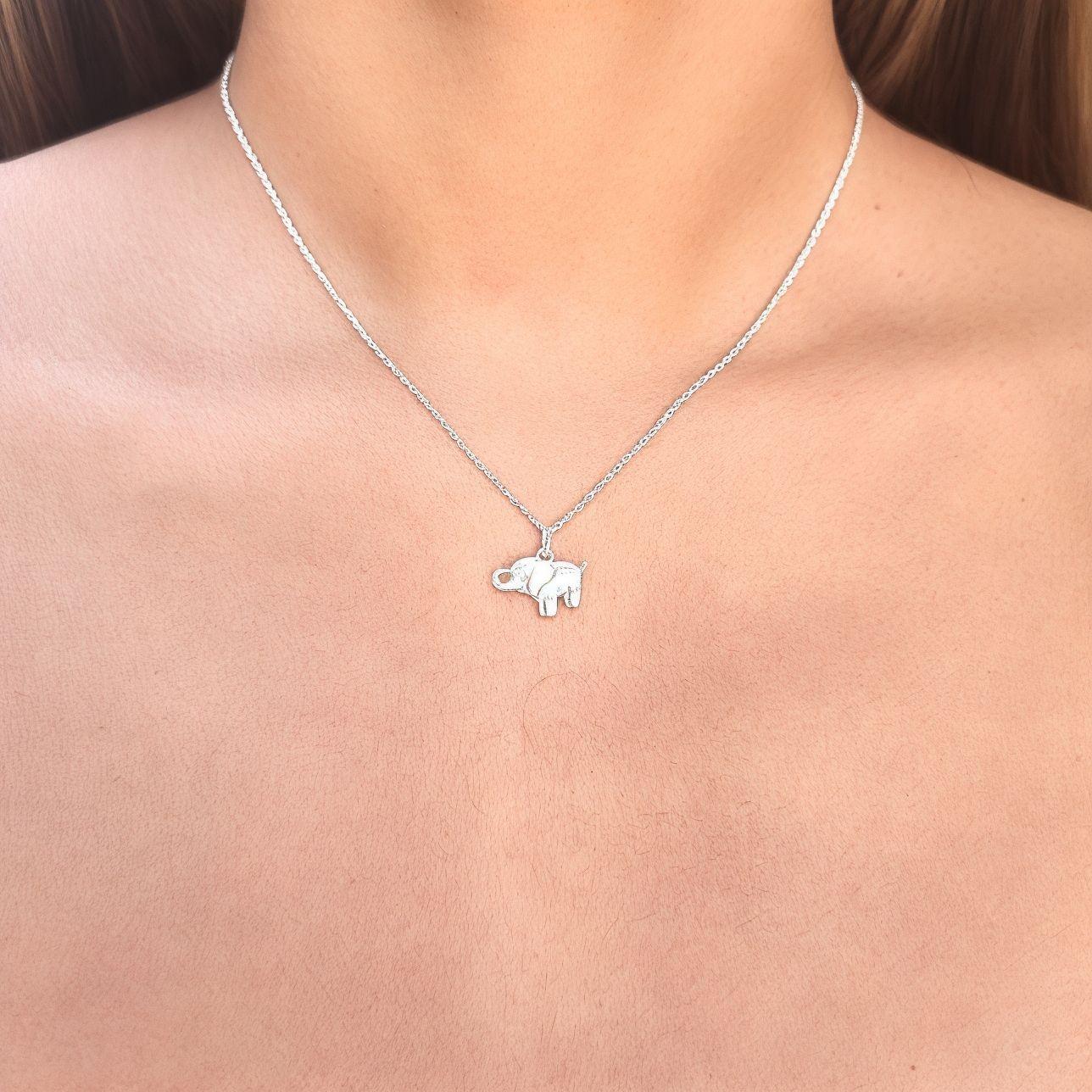 Collar Elefante Ojo Circón Plata Fina 925-2