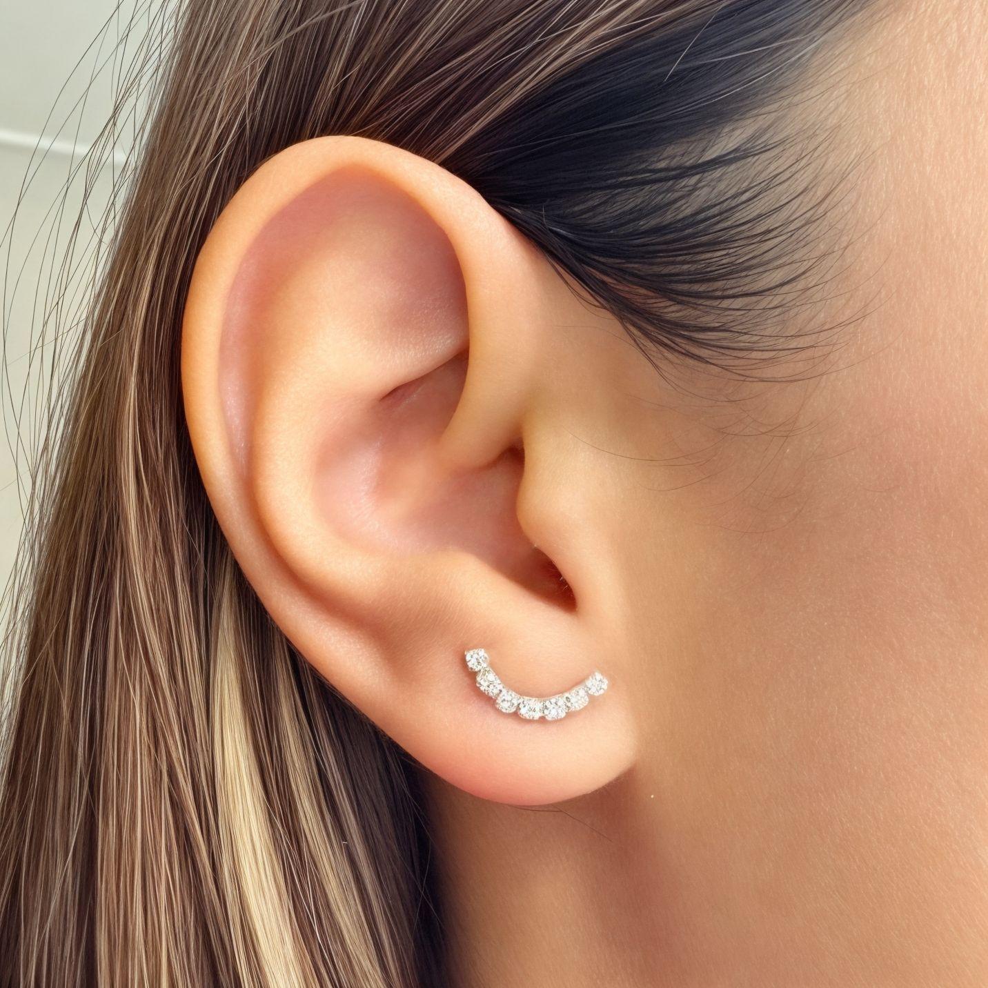 Aros Giulia Cristal Plata Fina 925-2