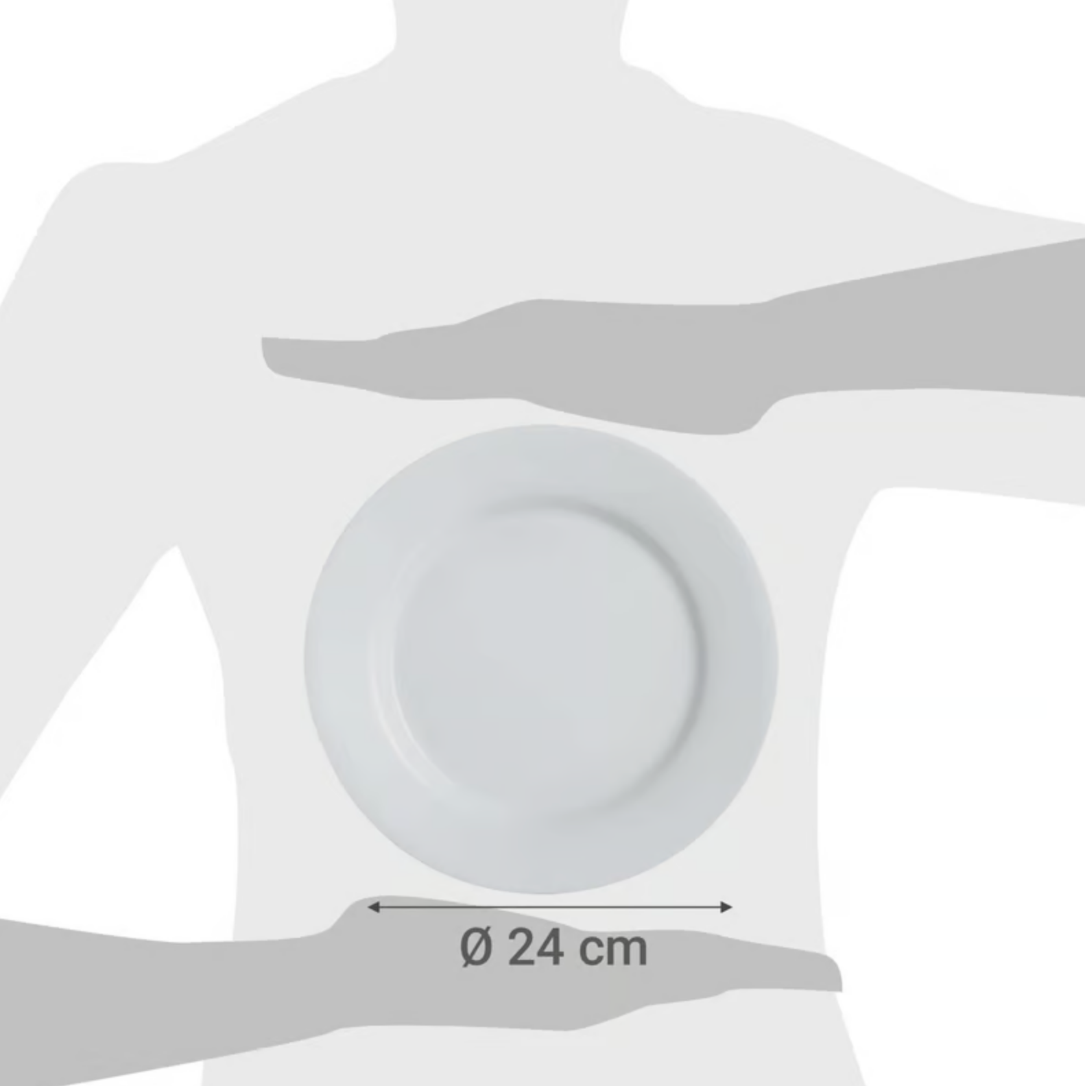 Plato Llano 24 Cms Everyday-2