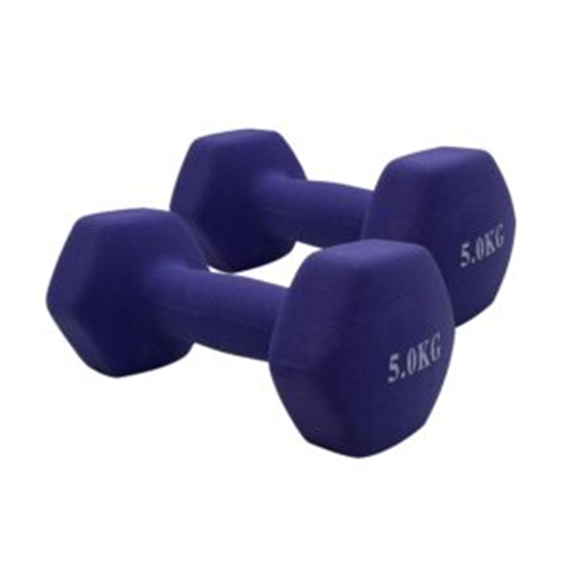Mancuerna Hexagonal De Vinilo 5kg Morado-0