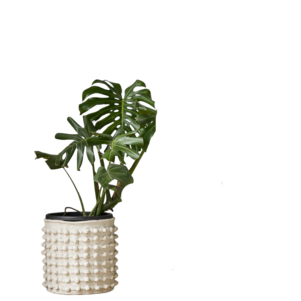 Macetero cerámica Elba 32 cm-0