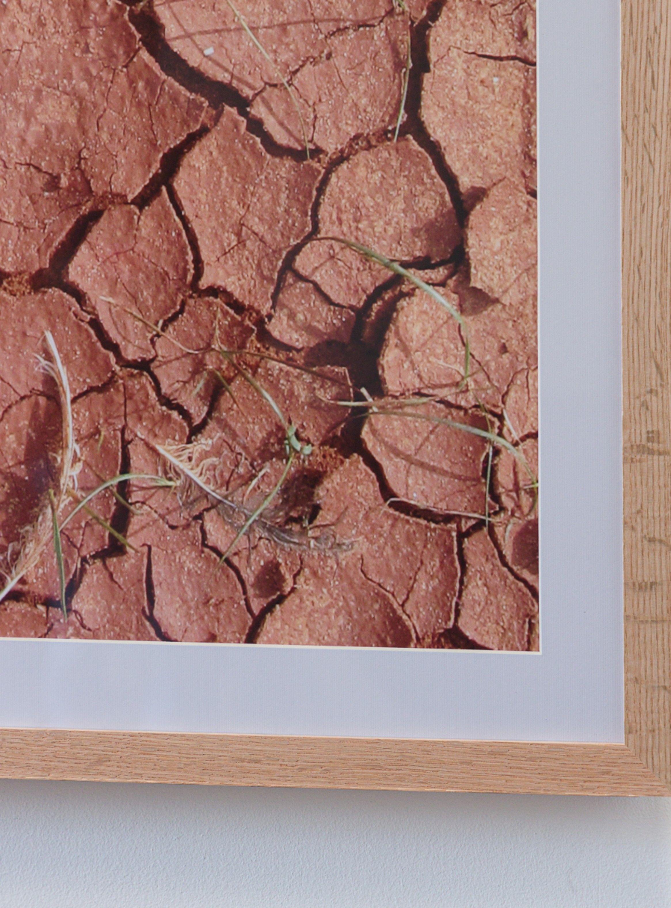 Cuadro Tierra A 80 X 110-2