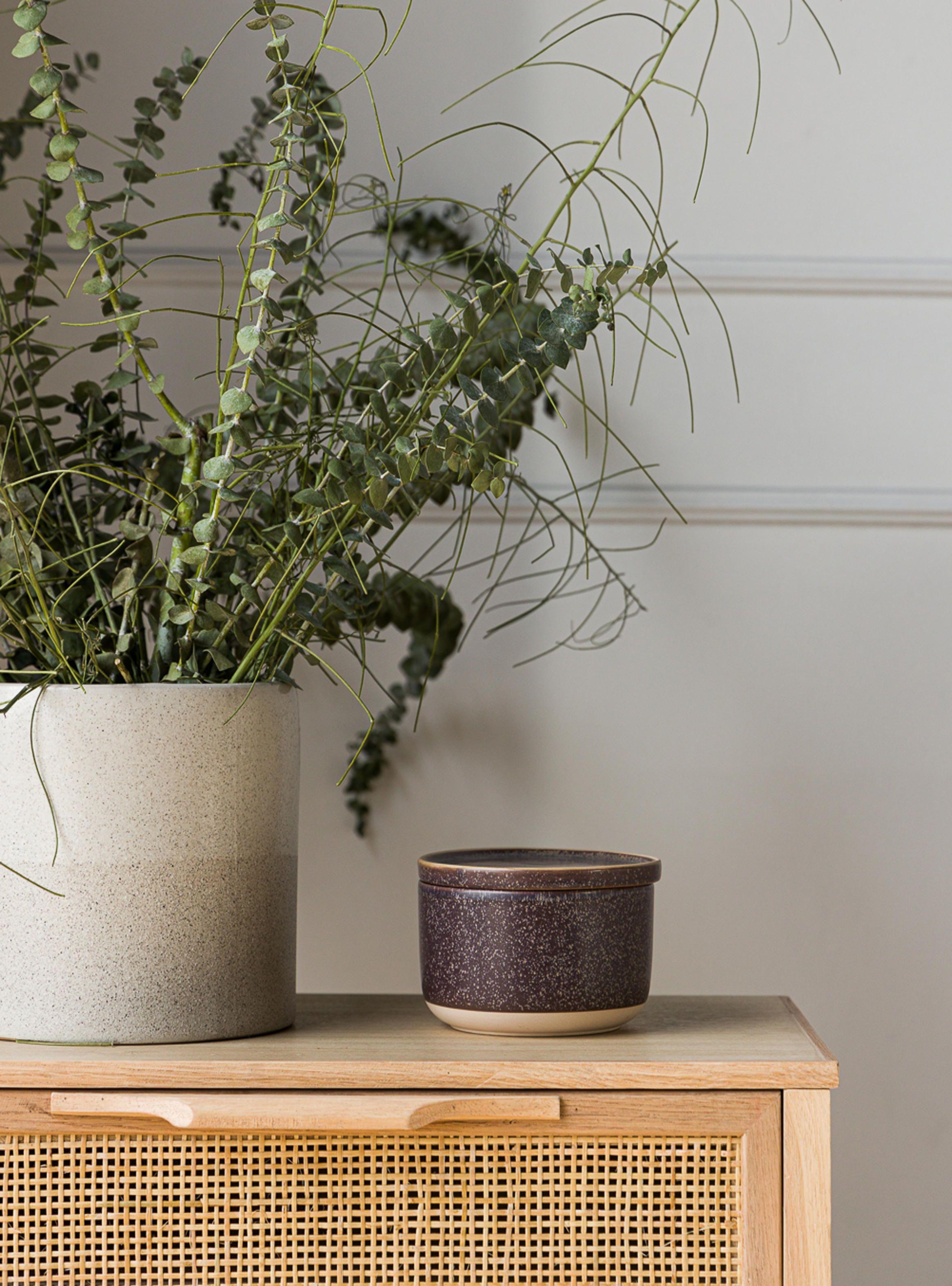 Bowl Niata cerámica Café-5