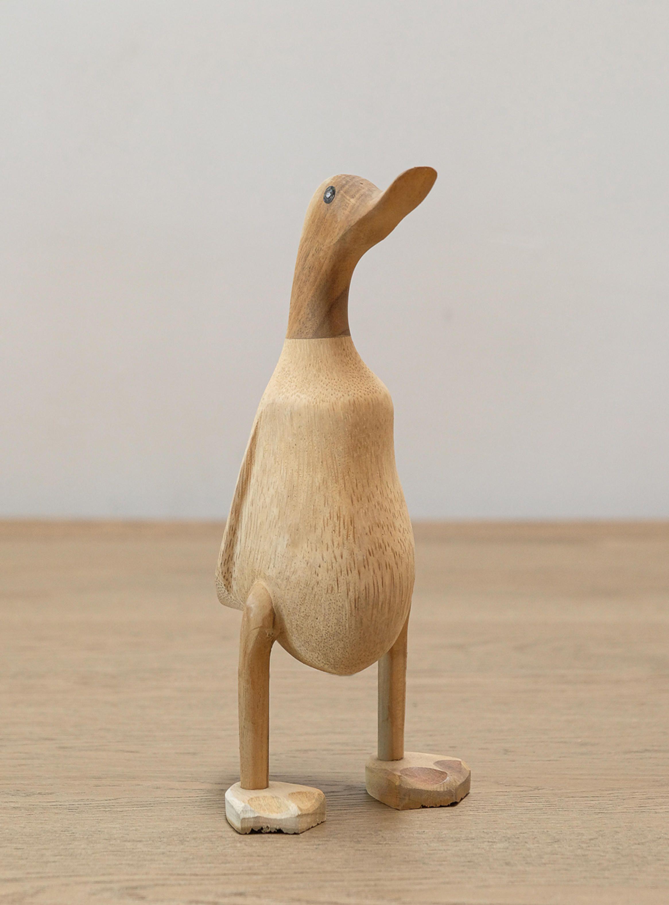 Escultura Pato S-3
