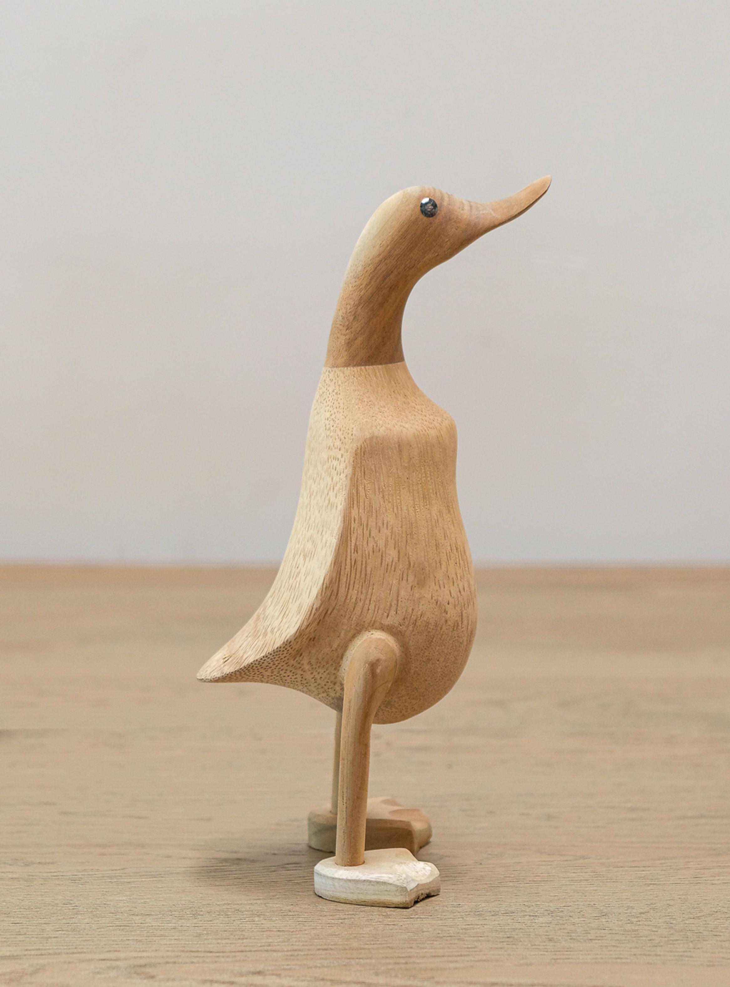 Escultura Pato S-4