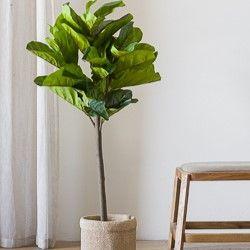 Árbol hoja de violín M-7