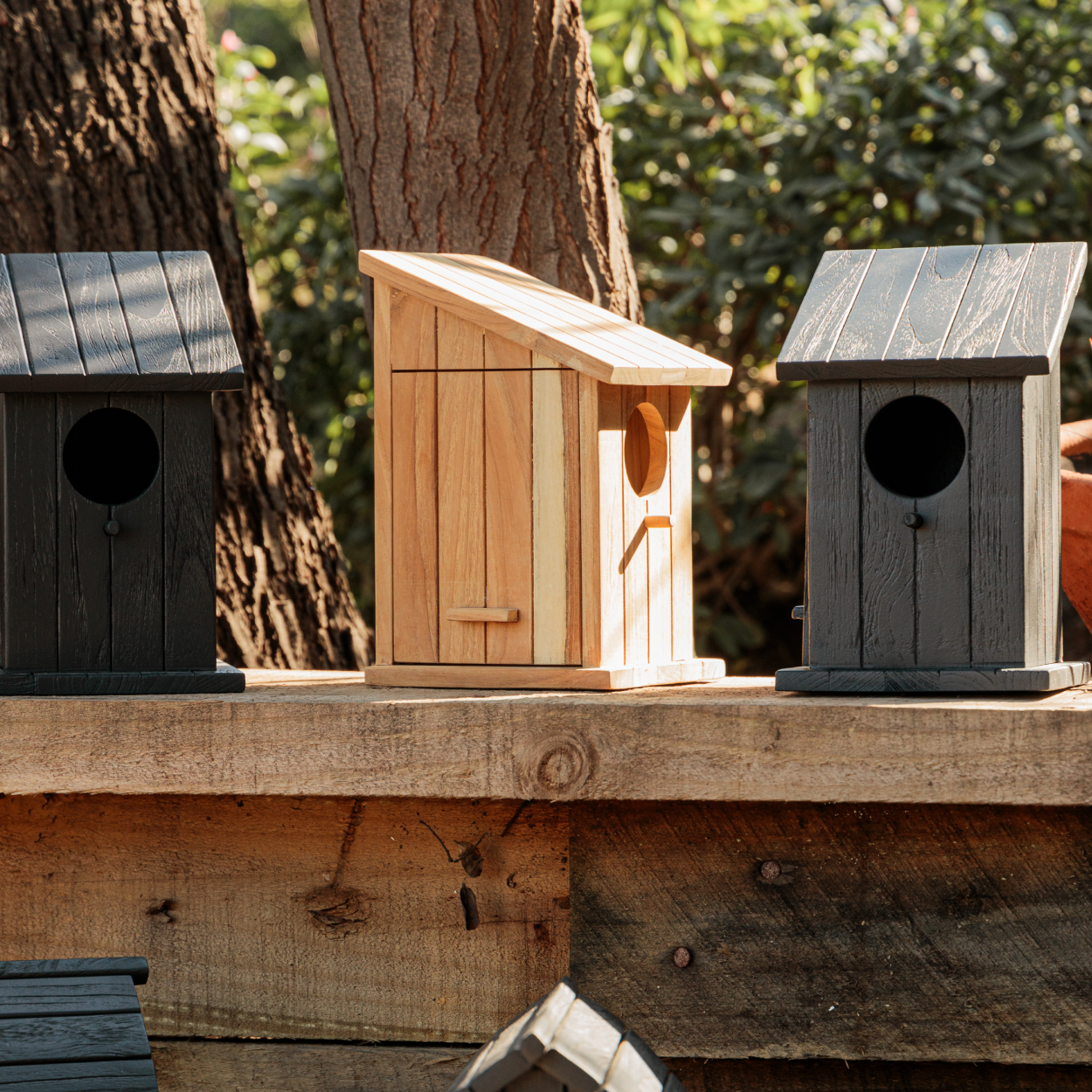 Casita De Pajaros Laz-7