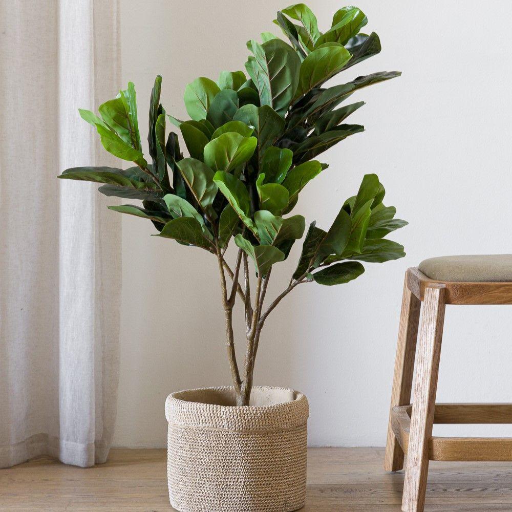 Árbol hoja de violín S-0