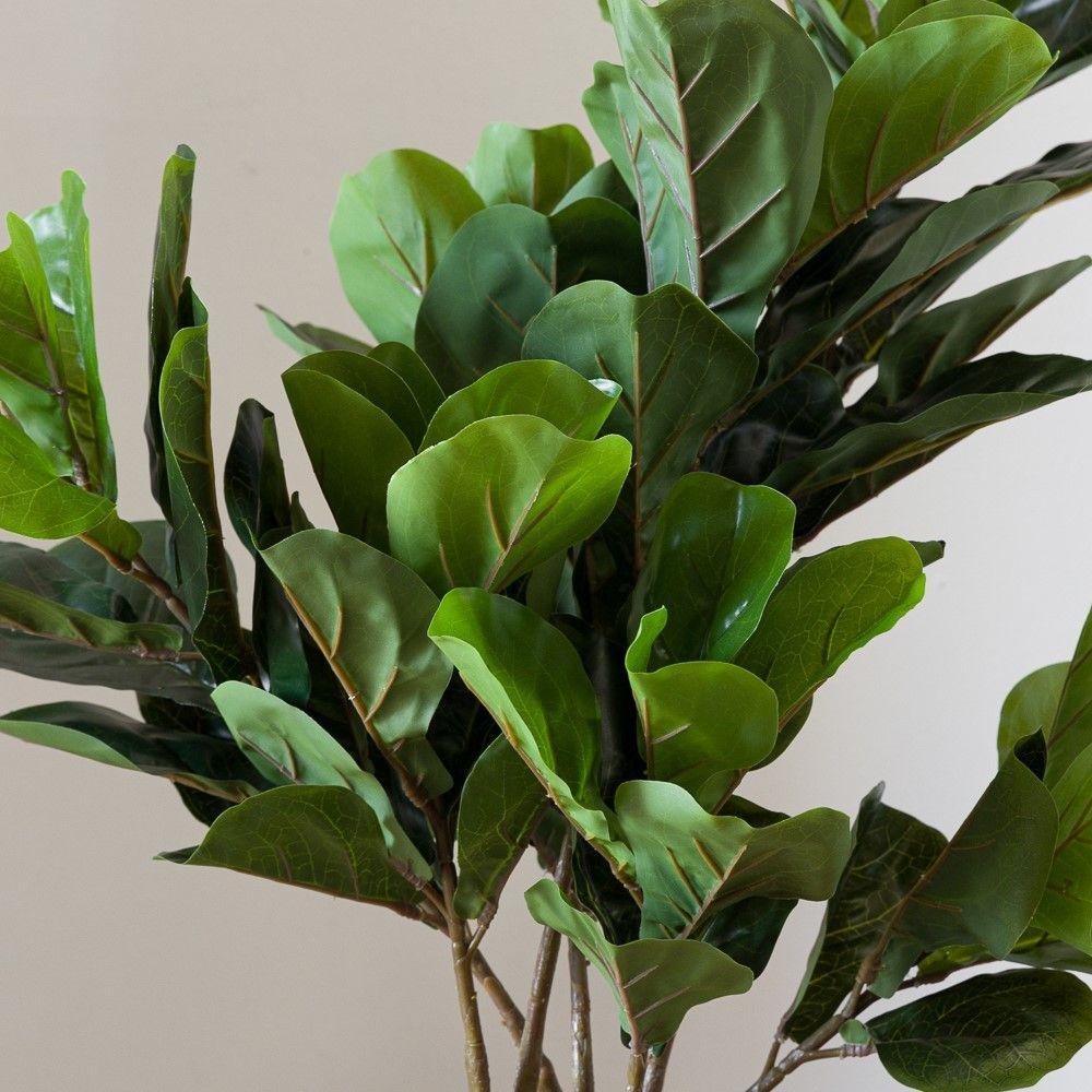 Árbol hoja de violín S-6