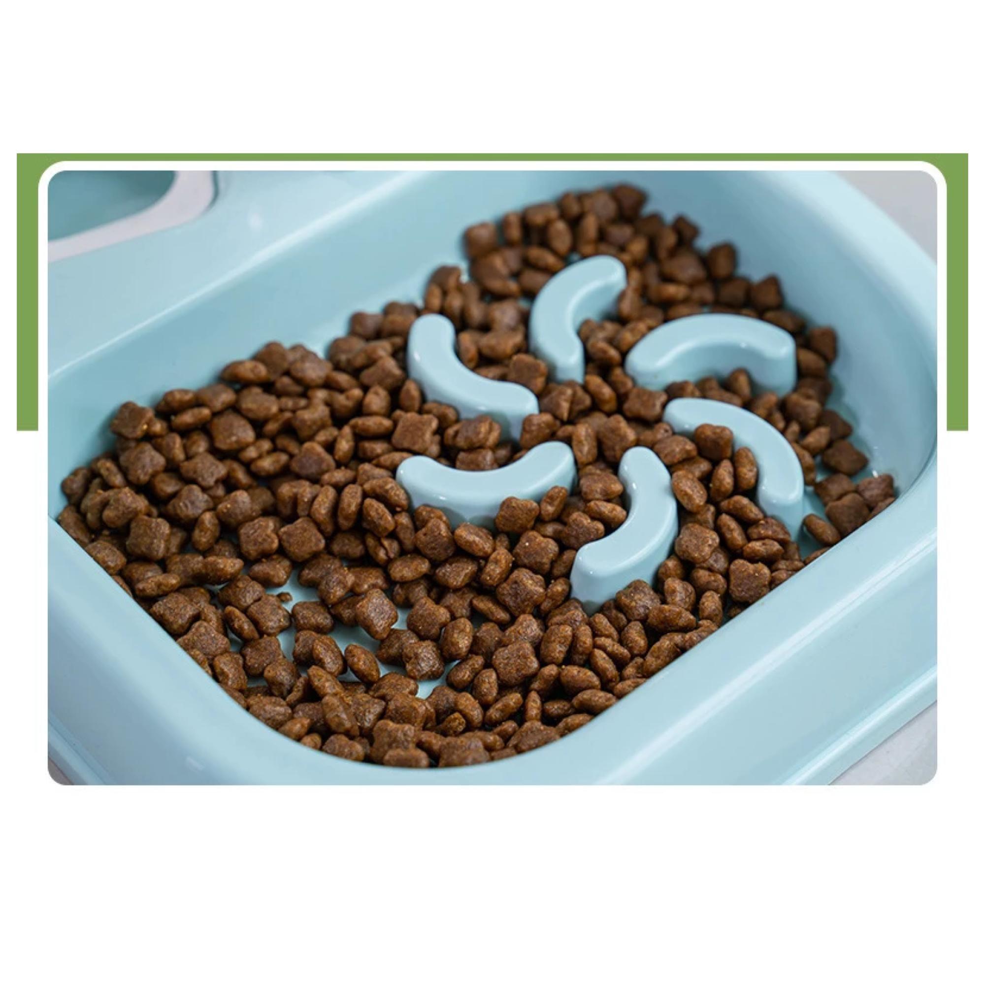 Plato Taza Para Alimentos Con Bebedero Para Mascotas-4