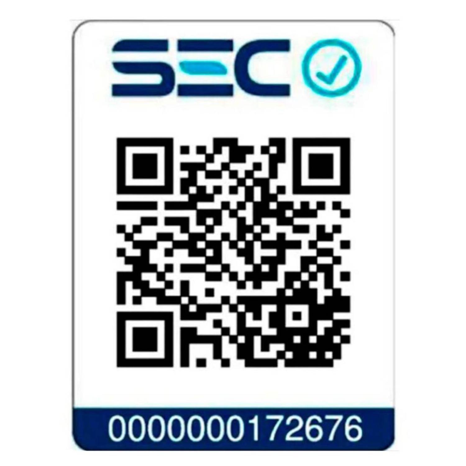 Plancha De Mano A Vapor Ropa 1100W IRBD100-2