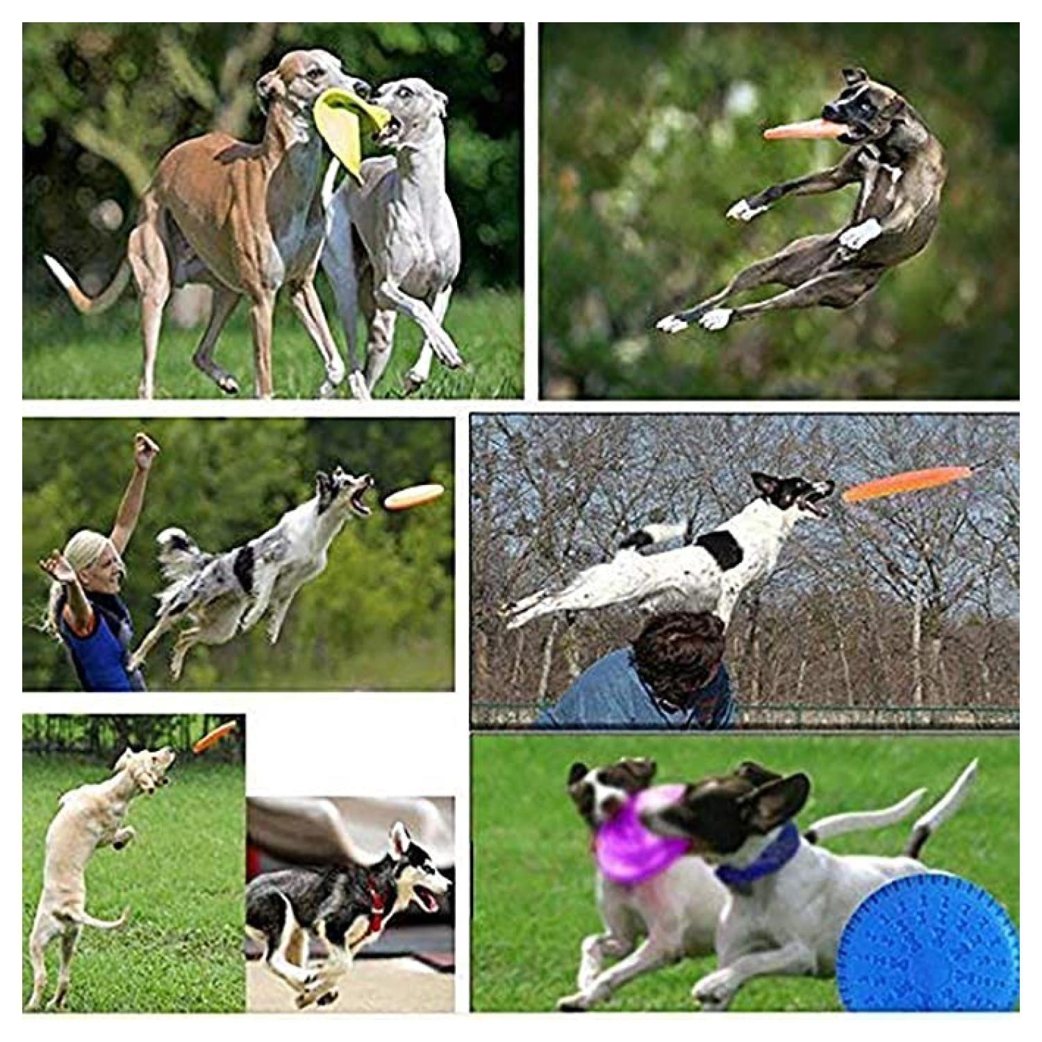 Frisbee Juguete Interactivo Y De Entrenamiento Para Perros-4