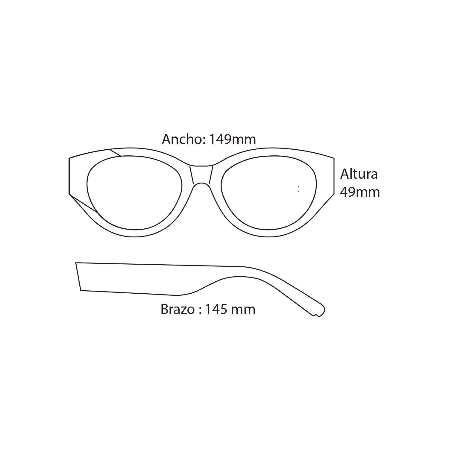 Anteojos Perpetuals 02 CatEyes Black Brown-4