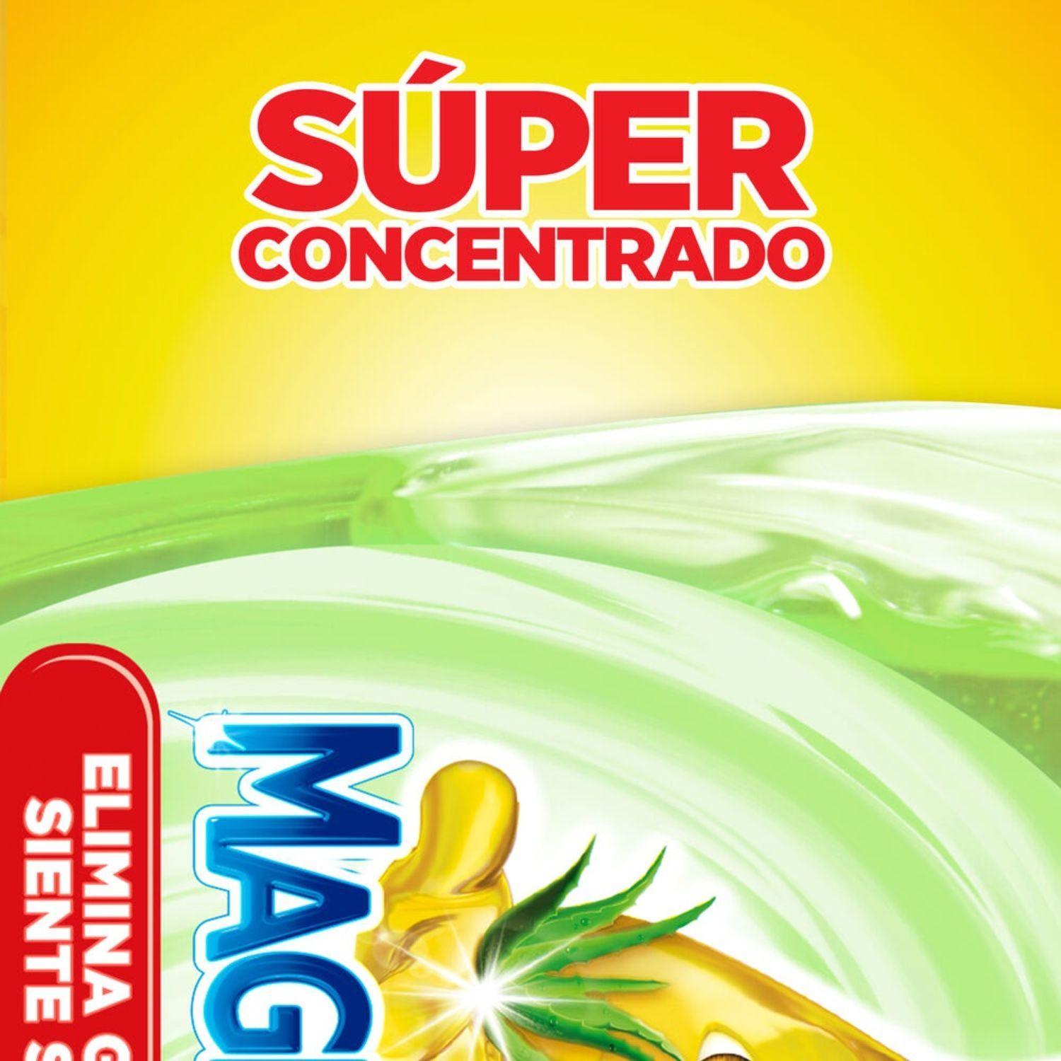 Pack 6 Lavaloza Concentrado Magistral  Aloe 750ml-4