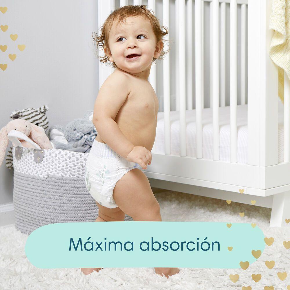 Pañales Pampers Premium Care Pants M 76 Unidades-2