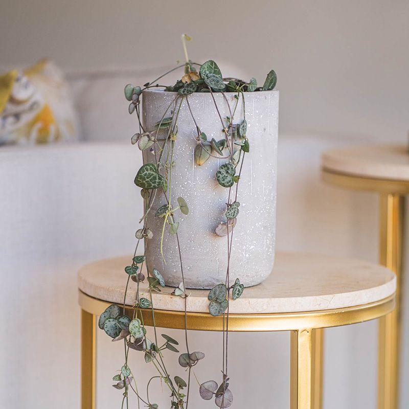 Macetero gris PATAGUA 20x23cm-2