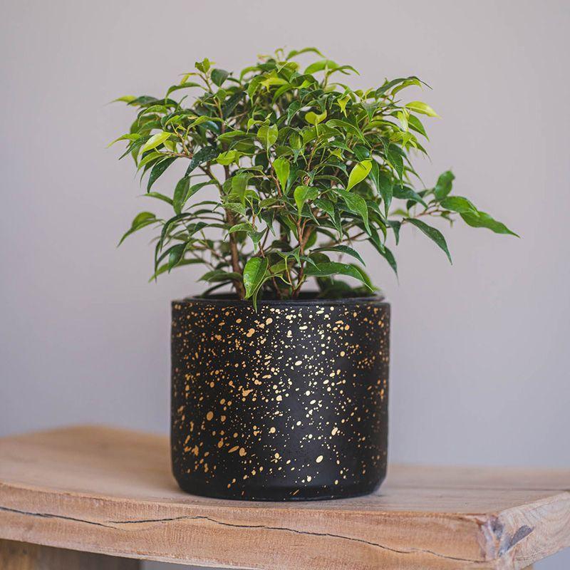 Macetero negro VOQUI 14x12cm -2