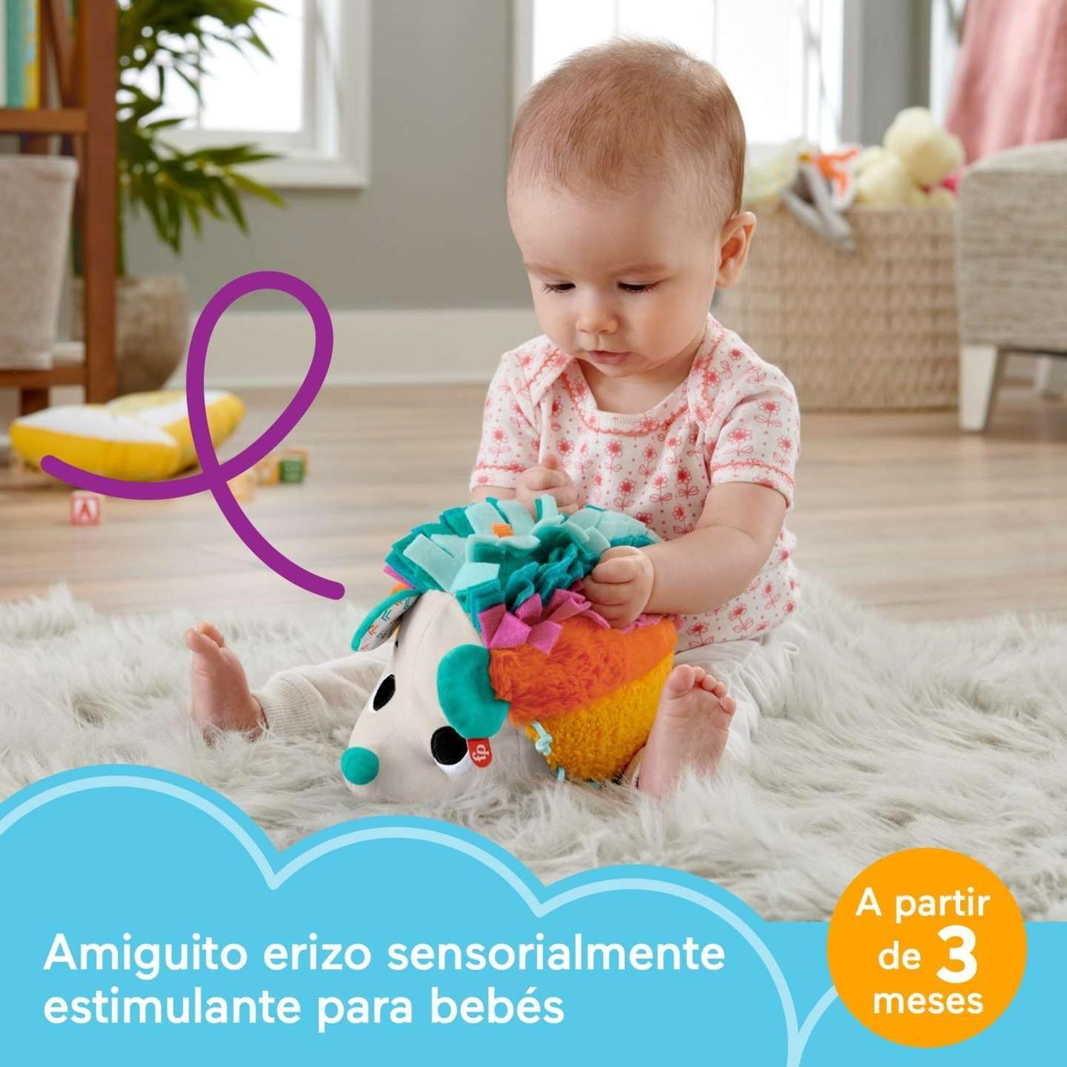 Erizo Estímulos Y Juego Fisher Price-4