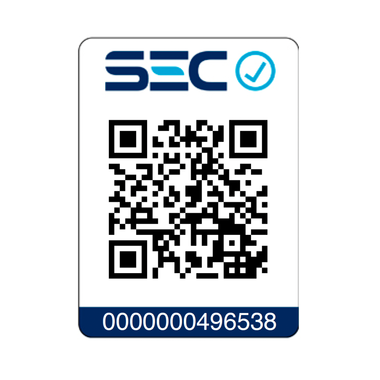 Cafetera Espresso - Gaggia Classic Pro E24 Energy Vibes-2