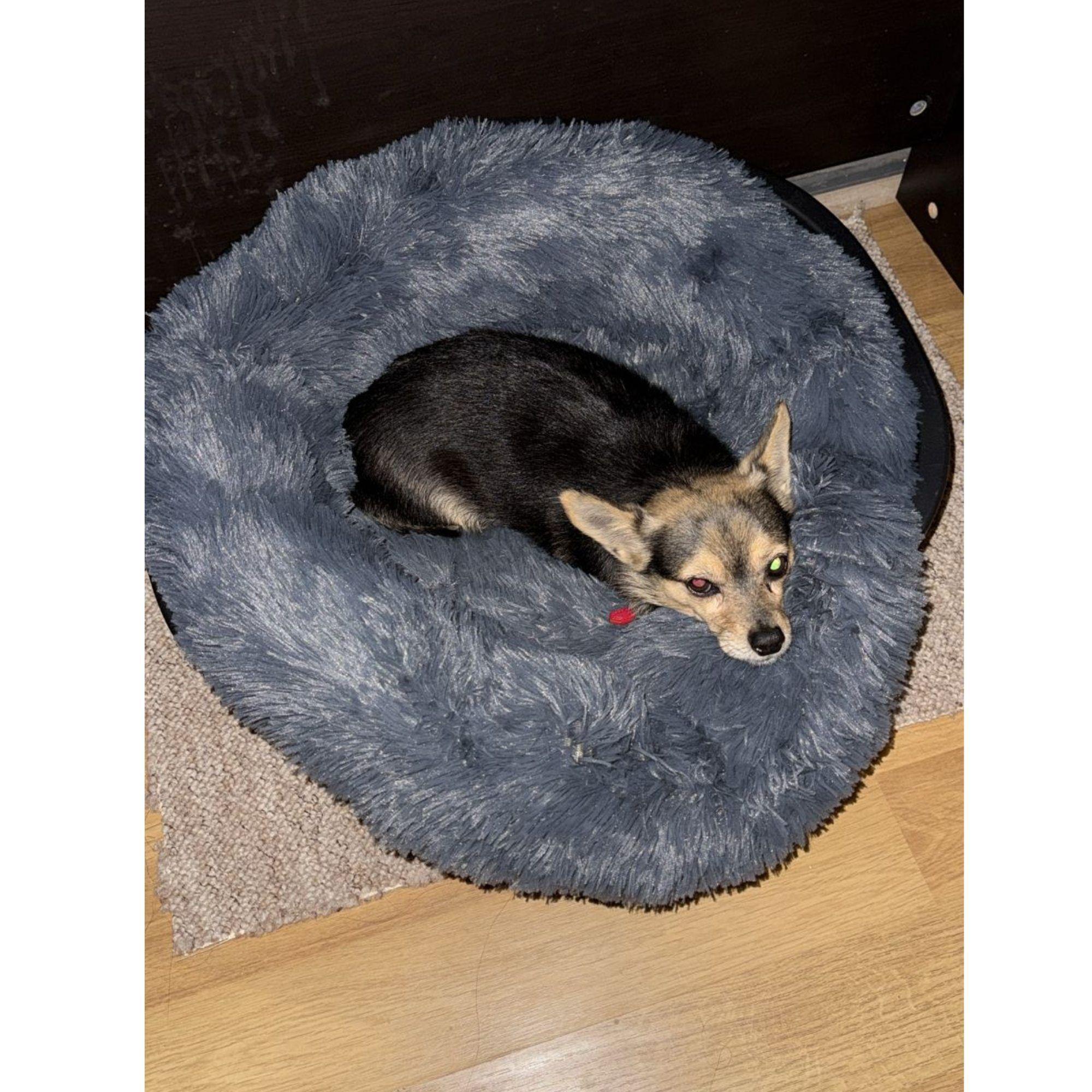CAMA PARA MASCOTAS 60x60 CALIDAD SUPERIOR-5