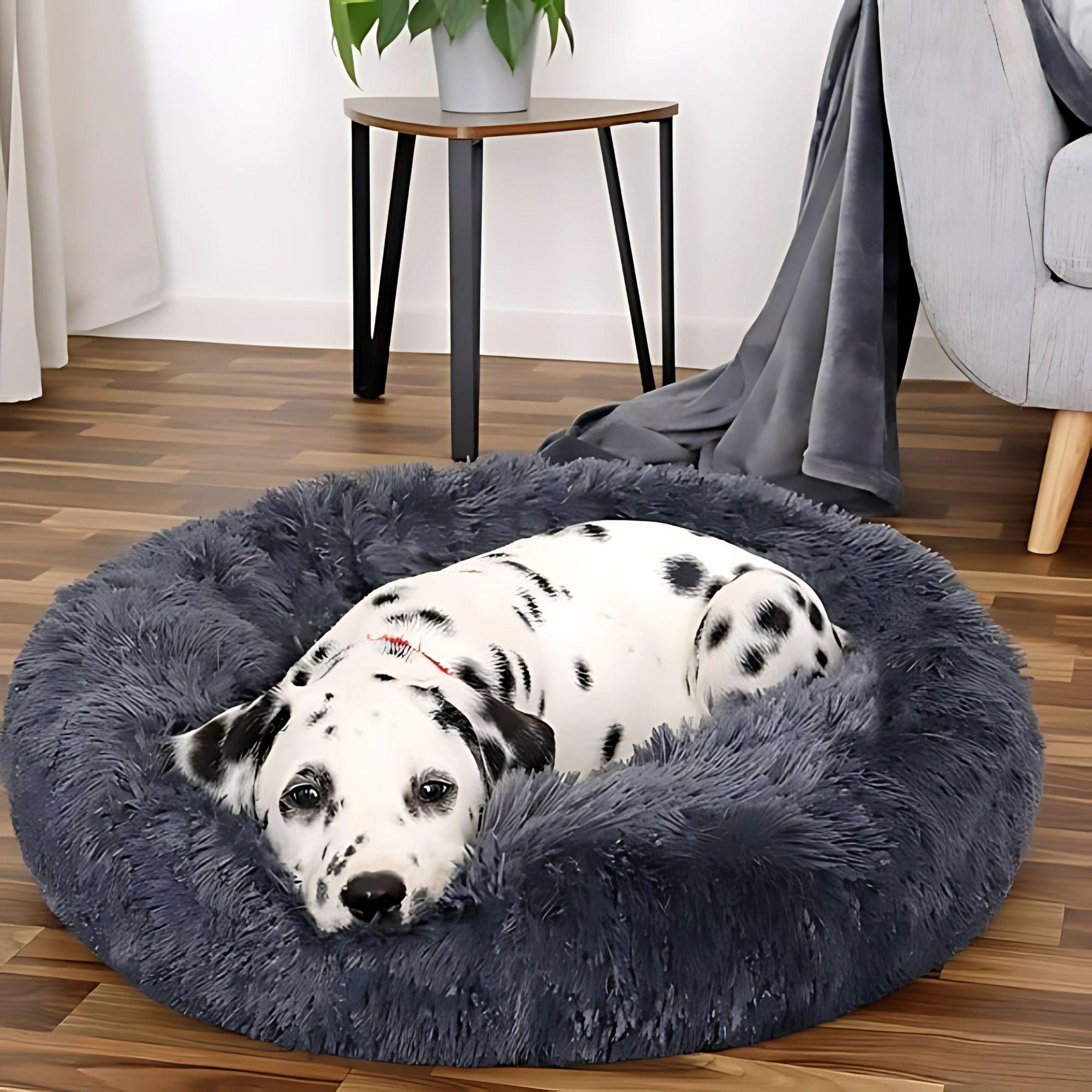 CAMA PARA MASCOTAS 60x60 CALIDAD SUPERIOR-7