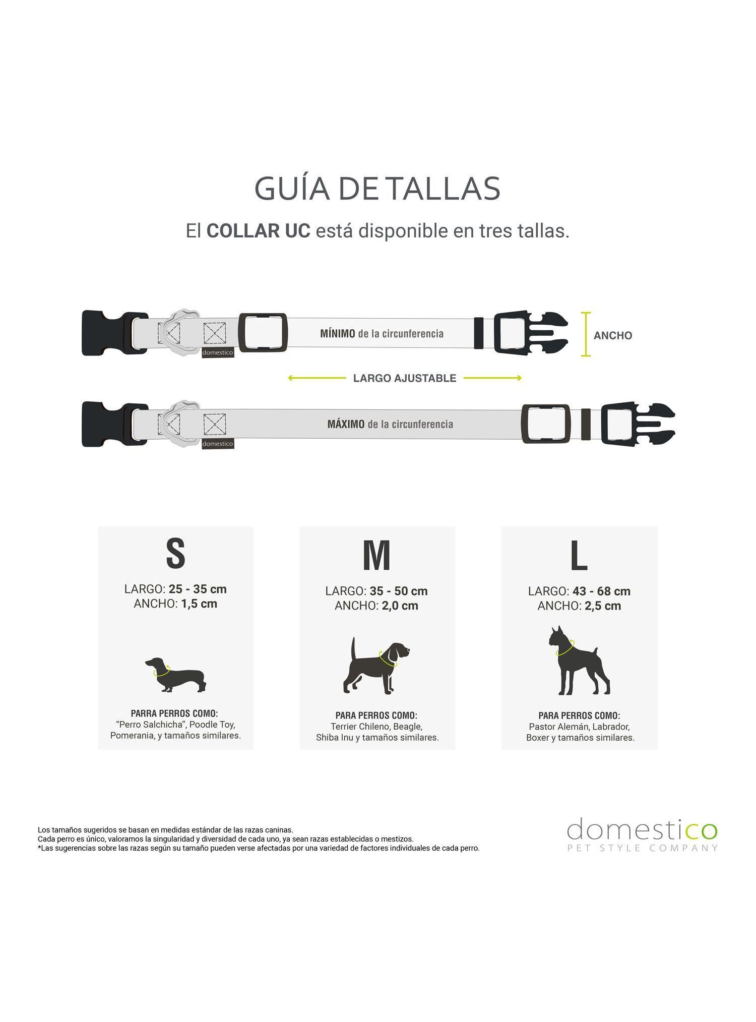 Pack Collar para Perro + Llavero Universidad Católica-7