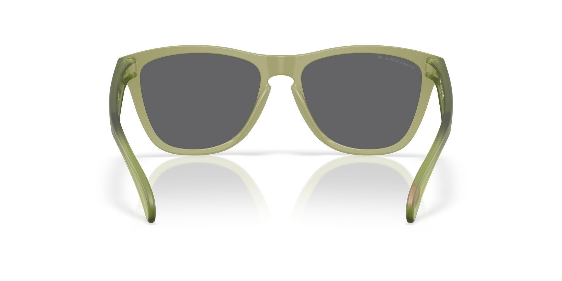 LENTE DE SOL OAKLEY | OO9013 M2 - Frogskins-3