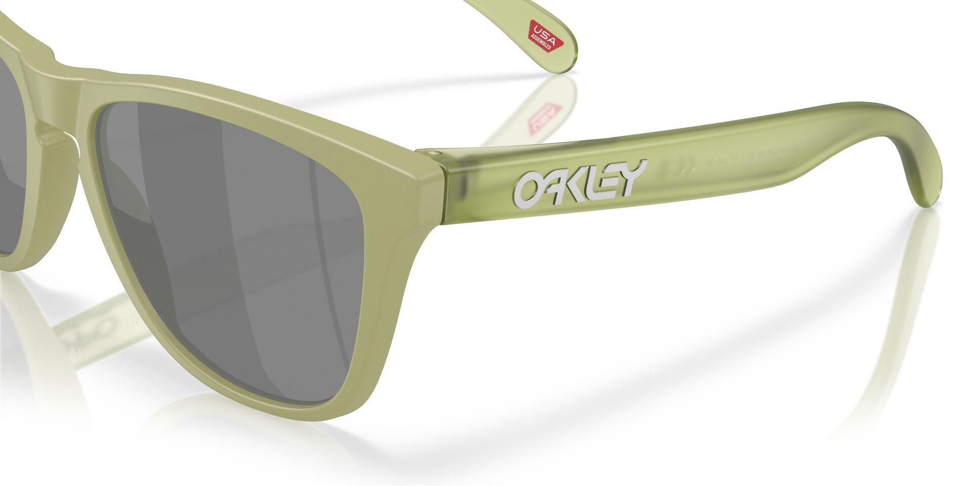 LENTE DE SOL OAKLEY | OO9013 M2 - Frogskins-6