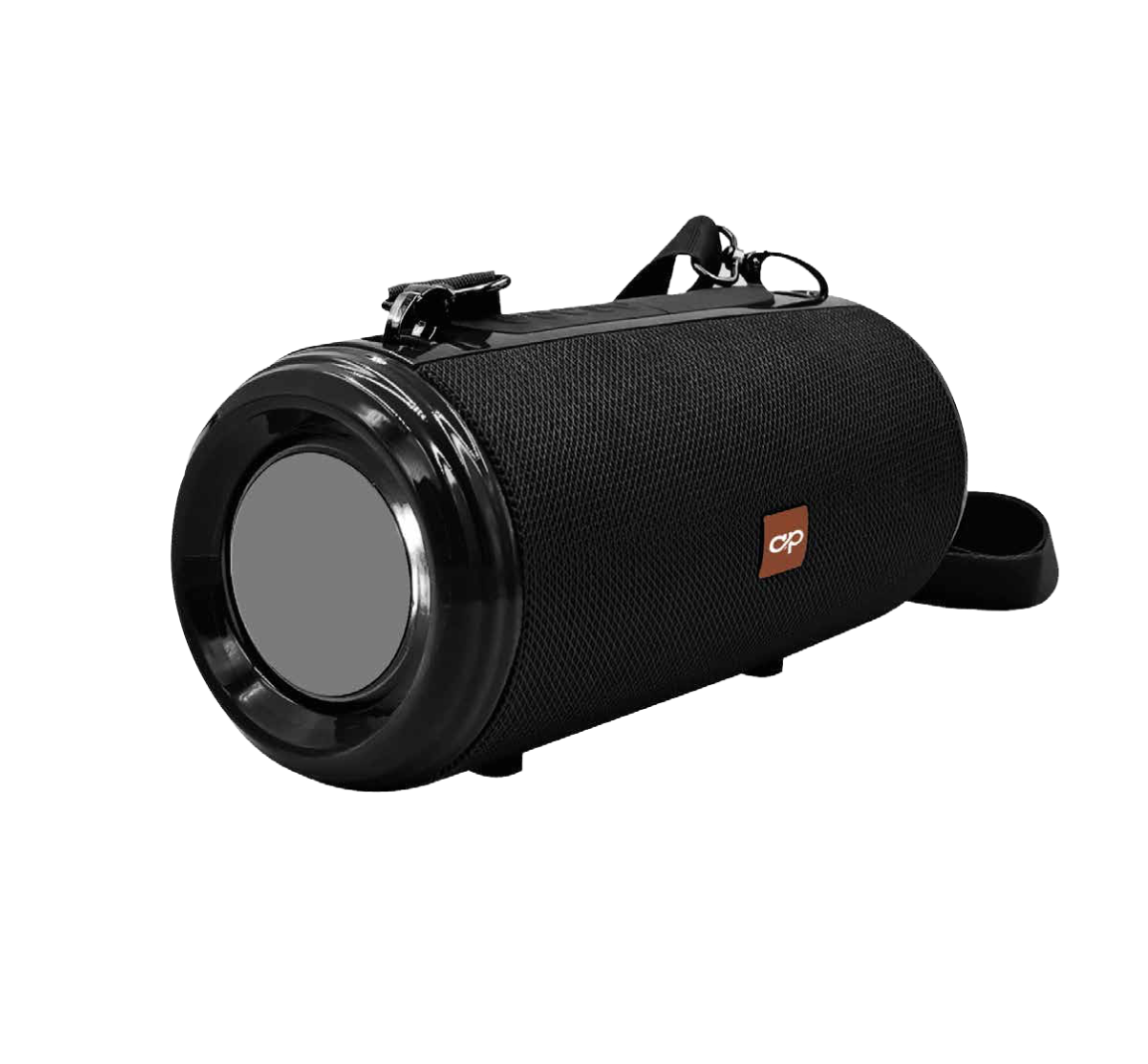 PARLANTE BLUETOOTH PORTABLE AUDIOPRO USB/SD AP02061BK NEGRO-0