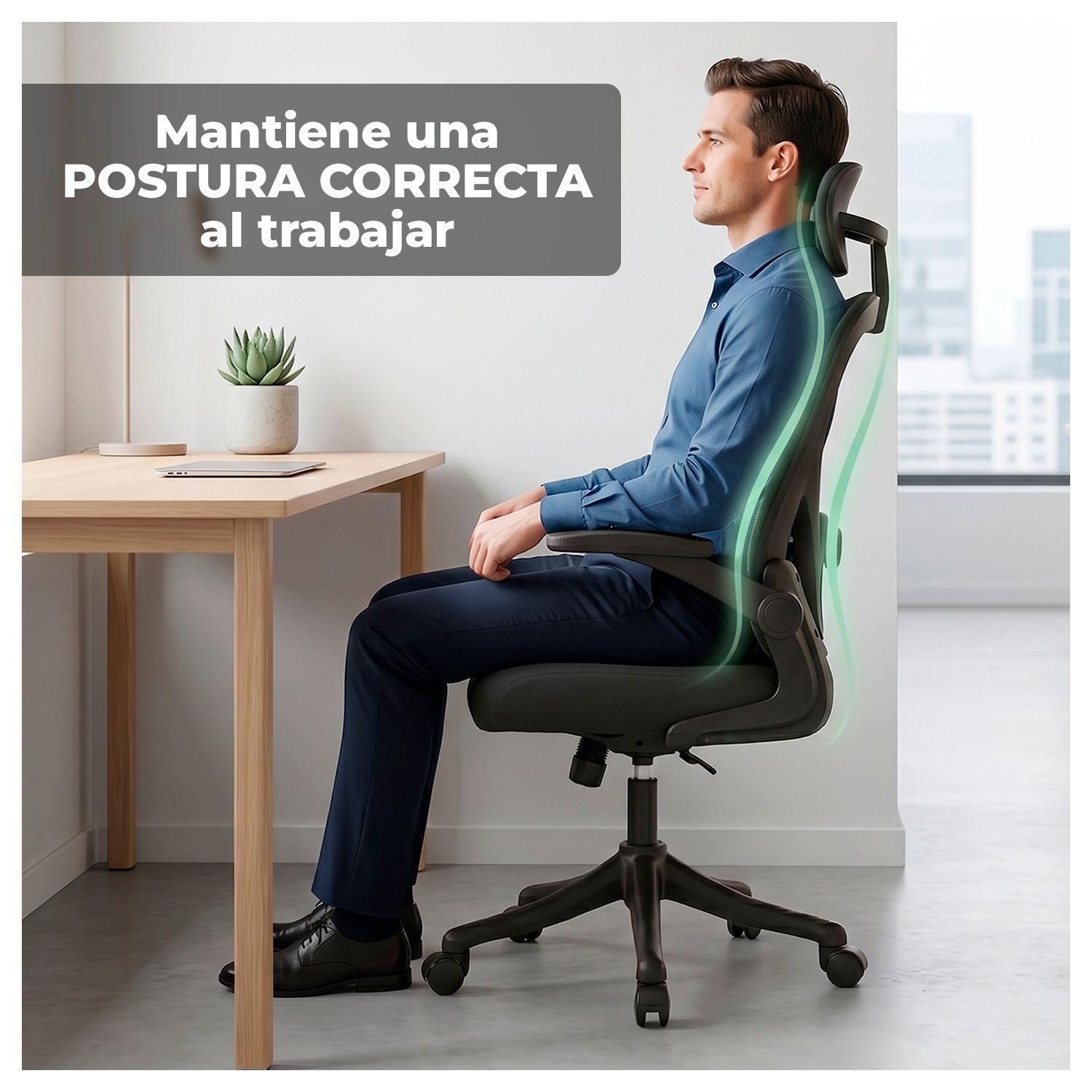 Silla Oficina Ergonómica Reclinable Apoyacabeza-2