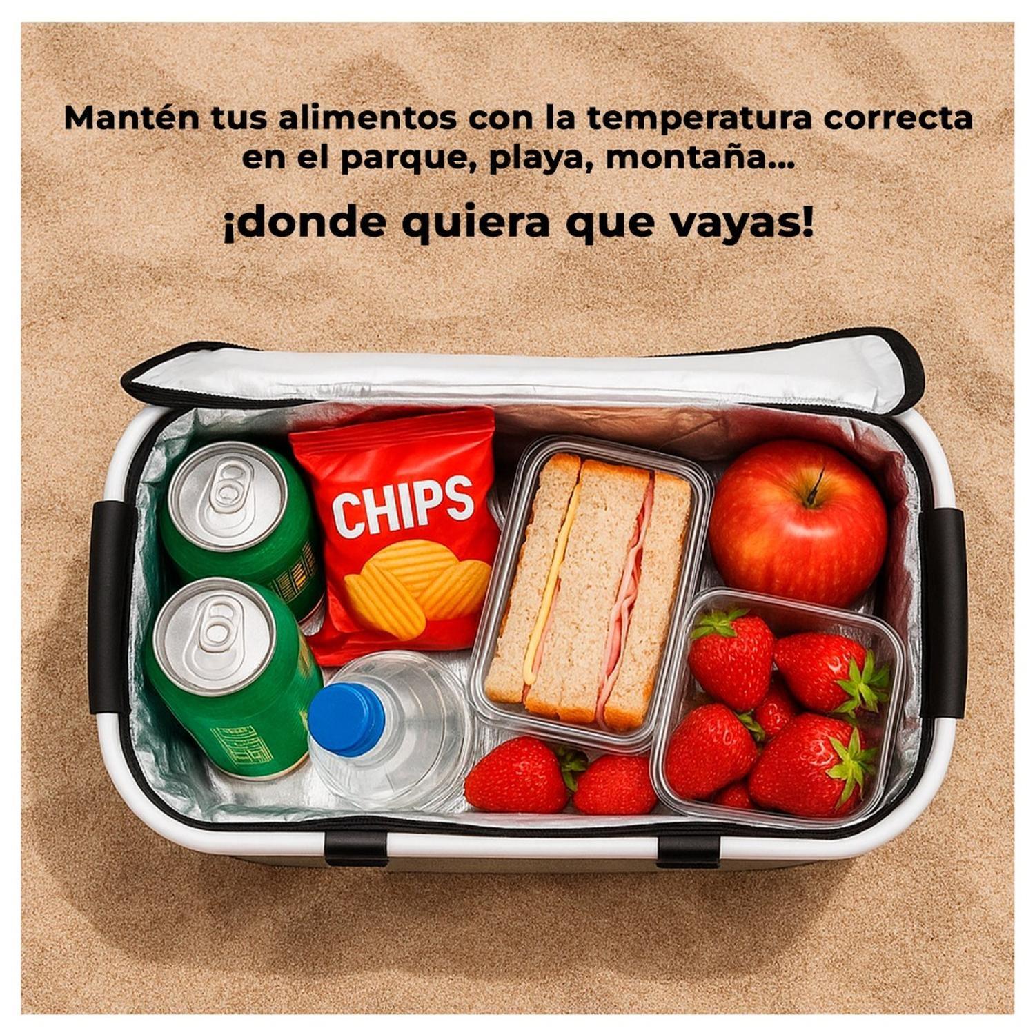 Canasta de Picnic con Aislante Térmico Viajera Plegable-4