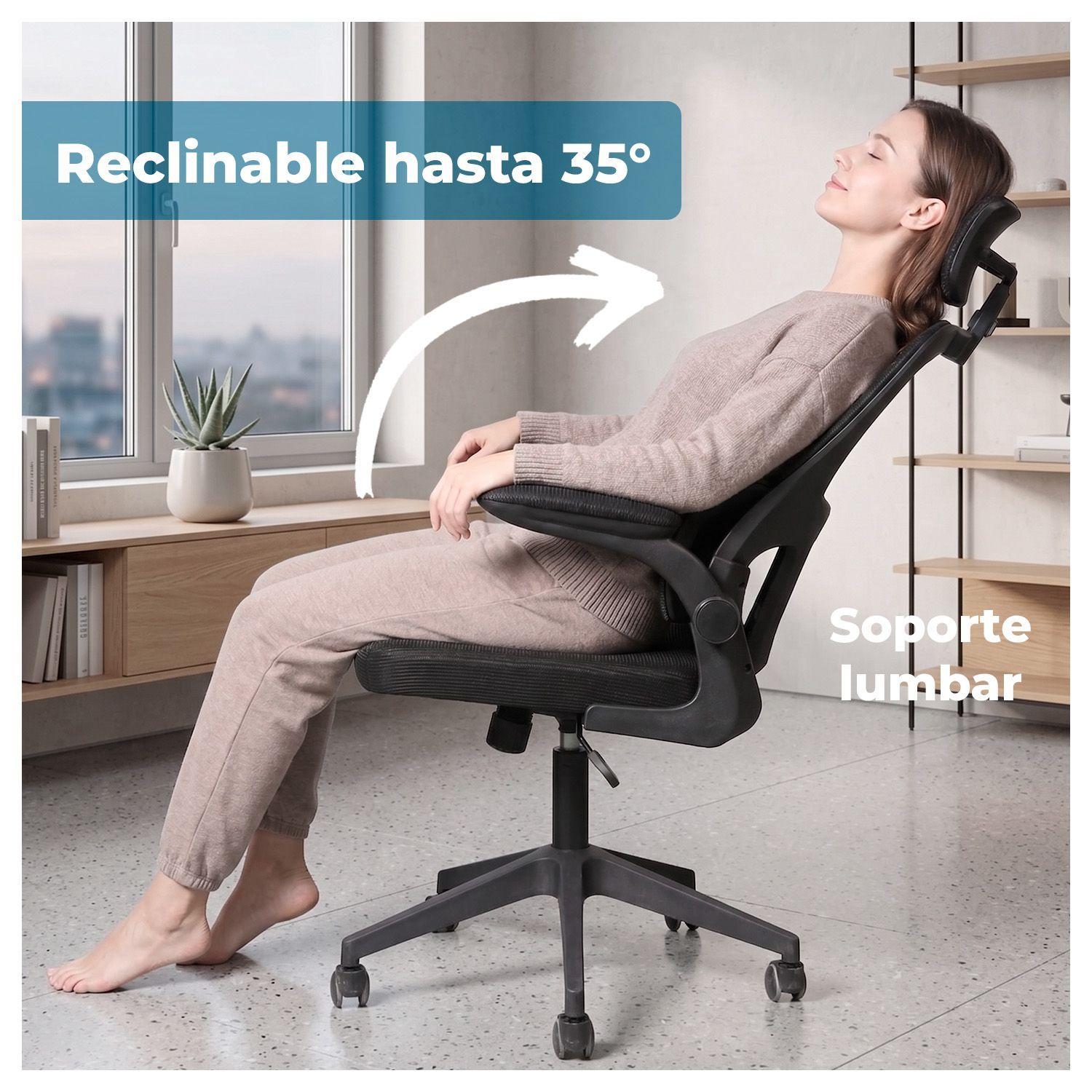 Silla Oficina Ergonómica Reclinable Soporte Lumbar-2
