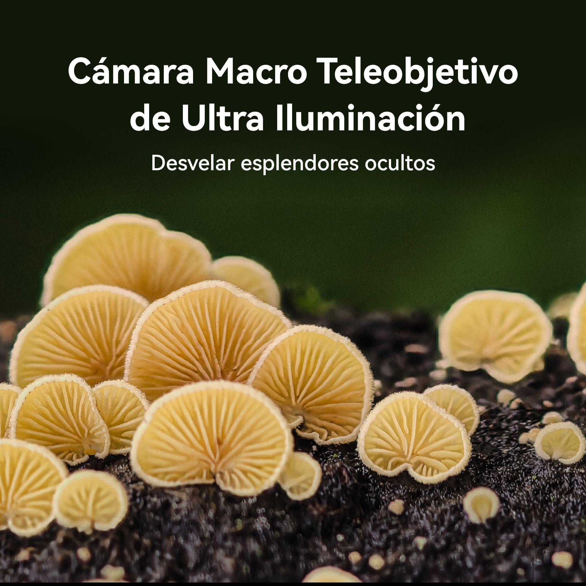 Smartphone HUAWEI Pura 70 Pro12+512GB Blanco+GT3SE de Regalo-4