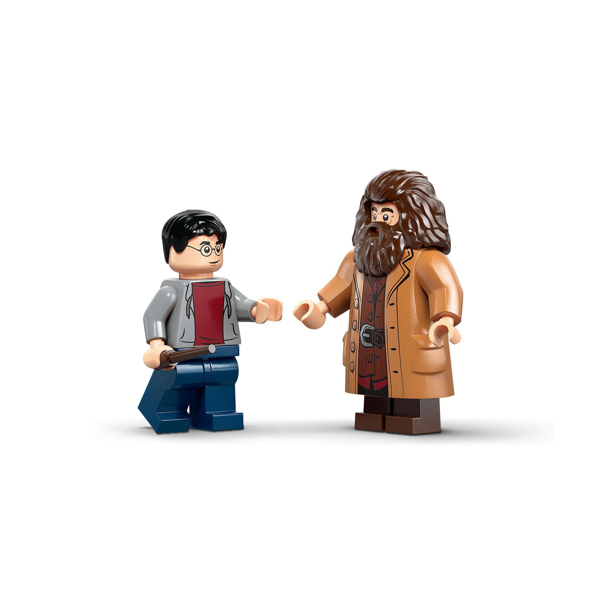 LEGO HAGRID Y HARRY: ESCAPE DE PRIVET DRIVE 76459-5