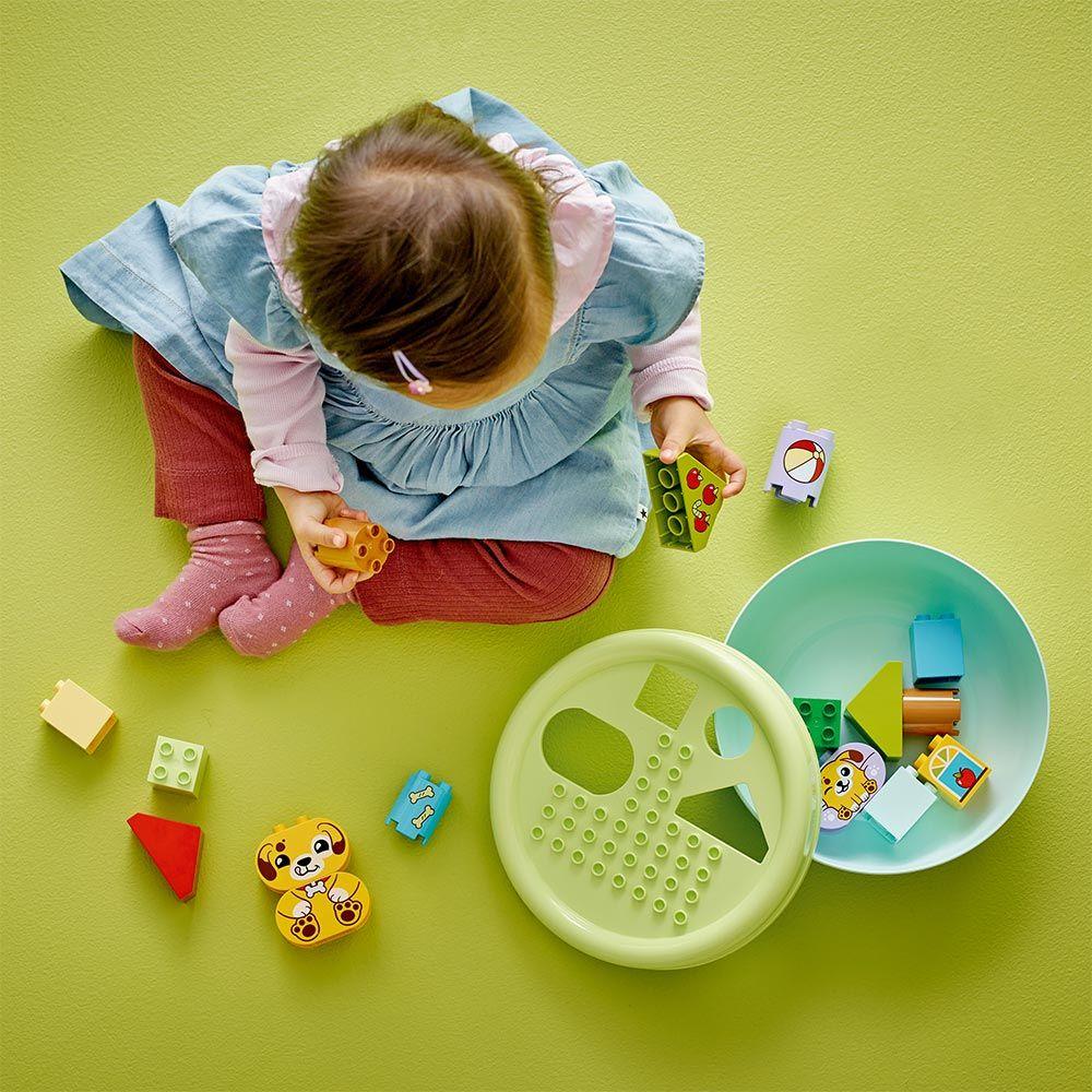 CLASIFICADOR DE FORMAS: CASA DE LOS PERRITOS DUPLO 10441-5