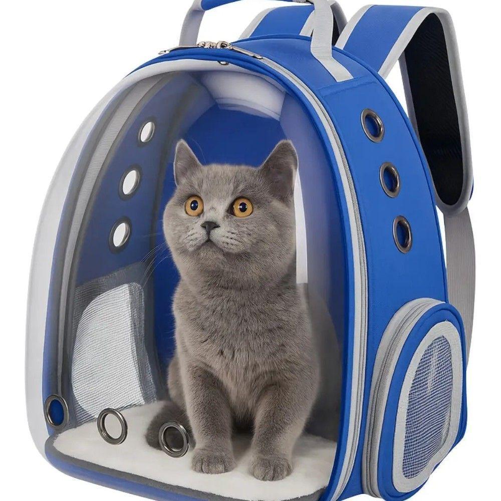 Mochila Bolso Transporte Transparente Mascotas Perros Gatos Color Azul-3