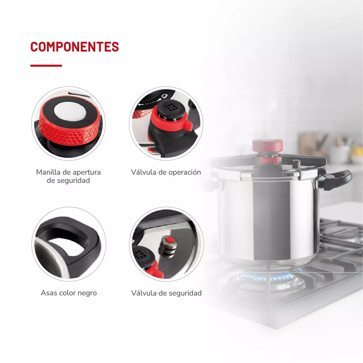 Olla a Presión Acero Inoxidable 10lts TH-MOP10I-4