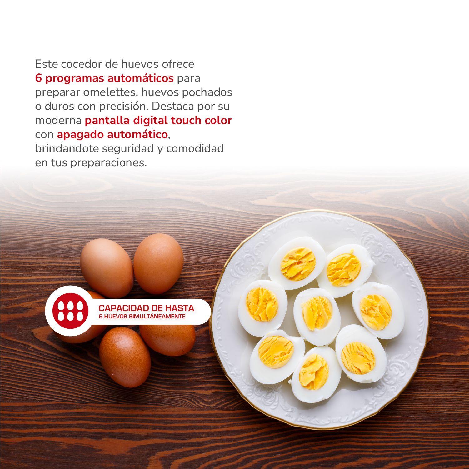 Cocedor Egg Touch DigitalPro 6 TH-85DC-2